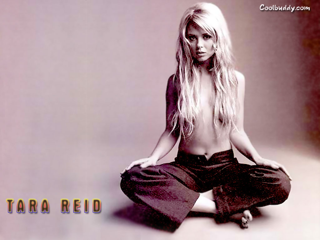 Tara Reid Wallpapers