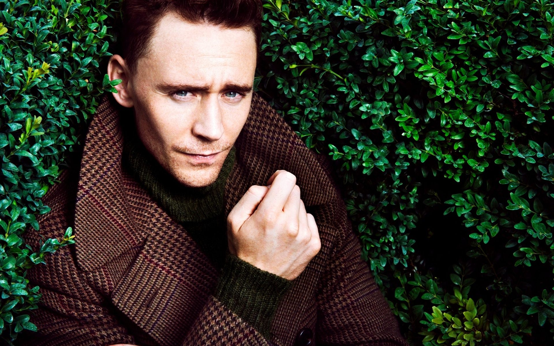 Tom Hiddleston Wallpapers