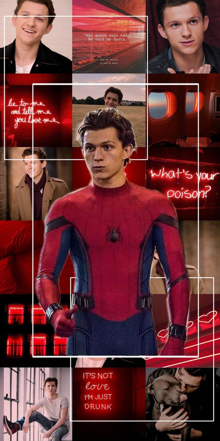 Tom Holland Wallpapers