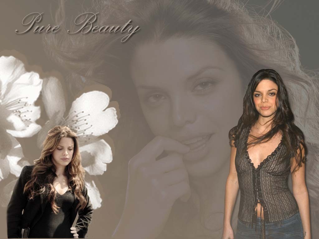 Vanessa Ferlito Wallpapers