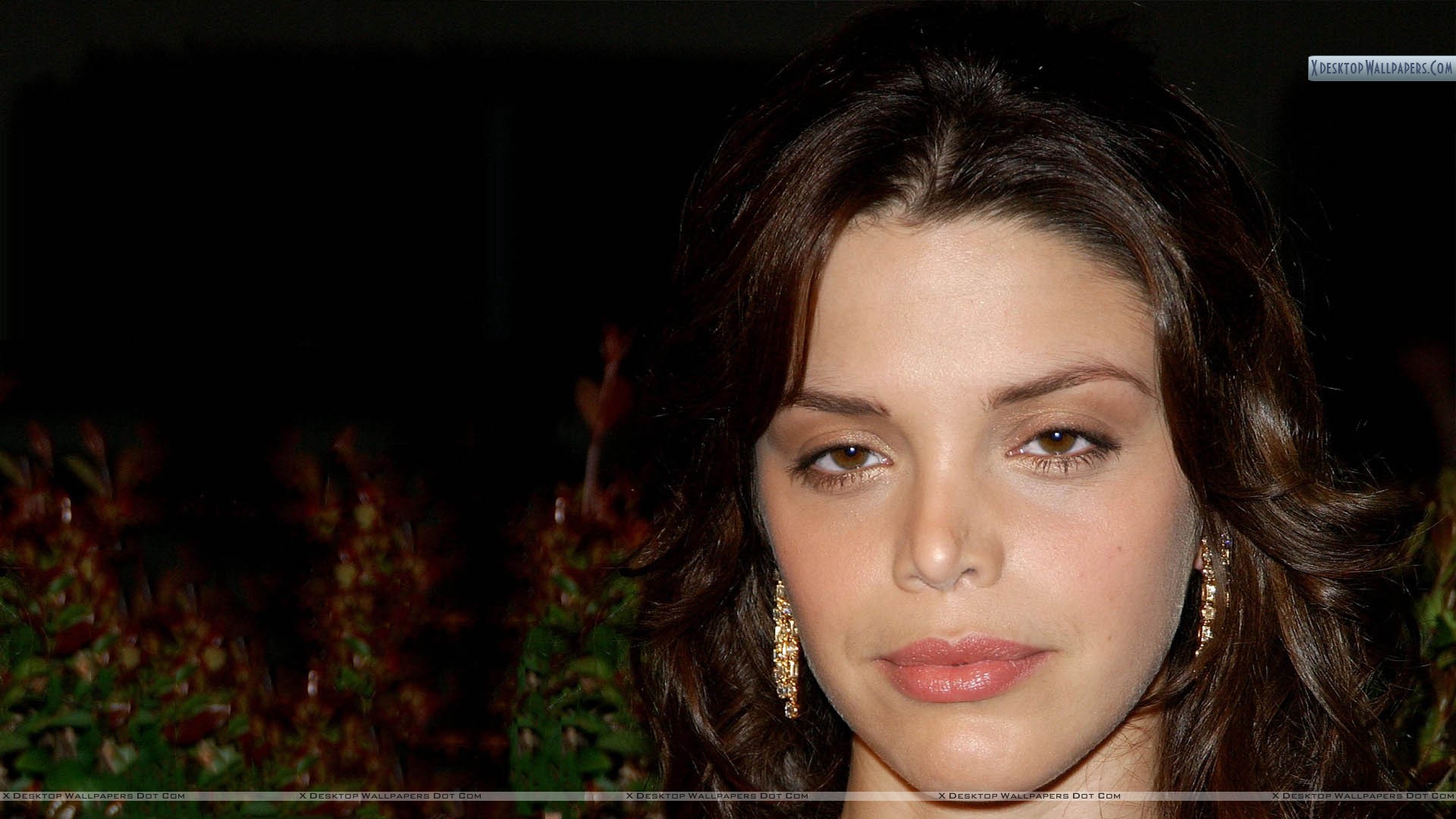 Vanessa Ferlito Wallpapers