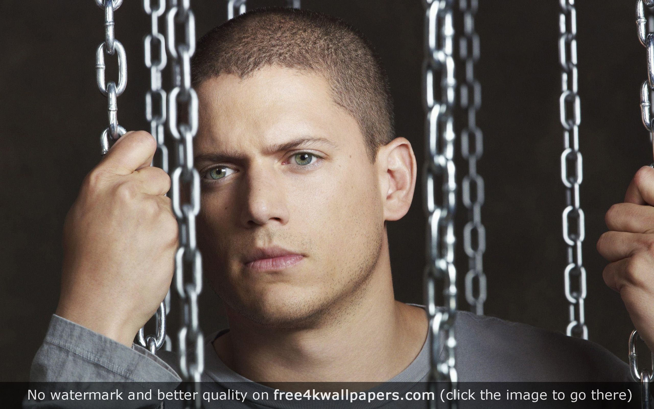 Wentworth Miller Wallpapers