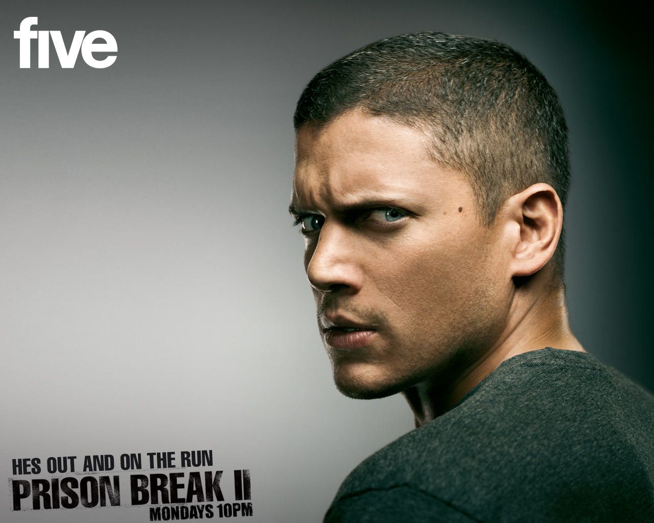 Wentworth Miller Wallpapers