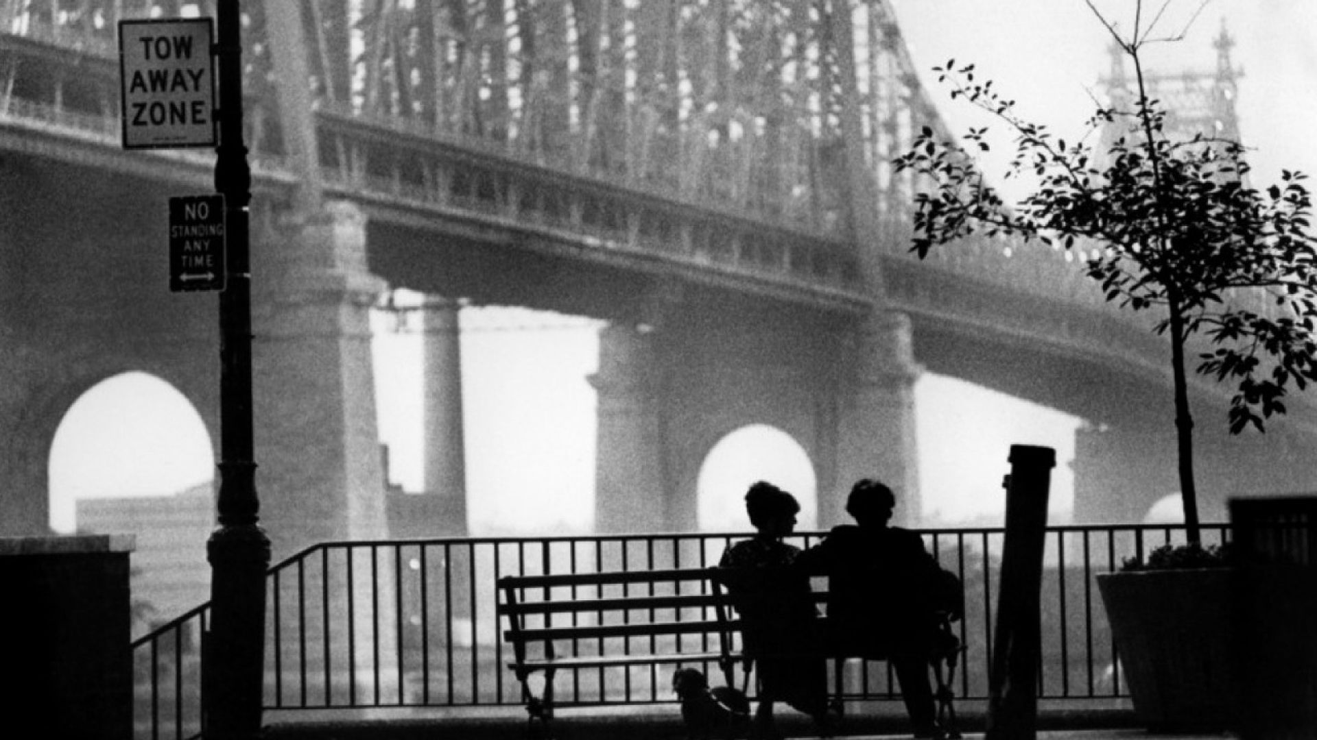 Woody Allen Wallpapers