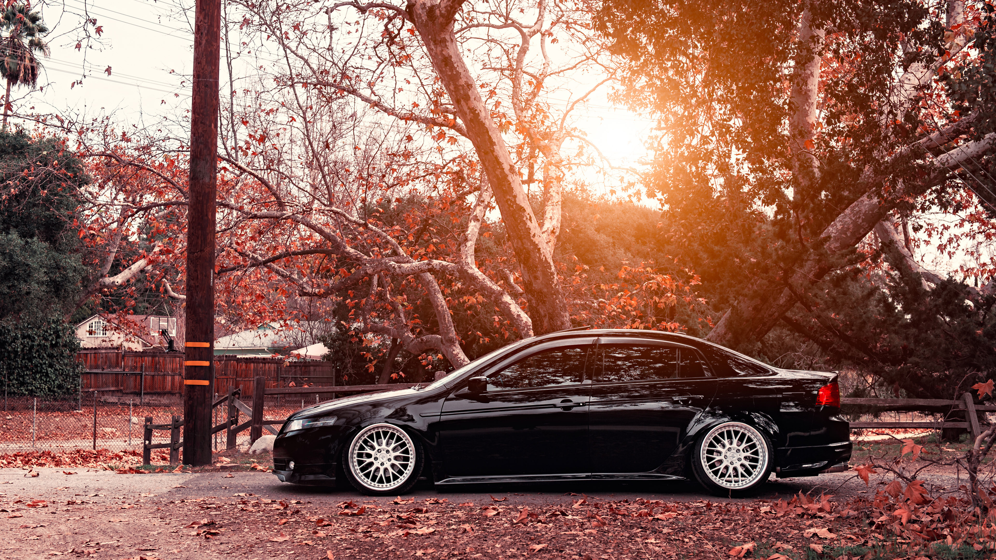 Acura Tsx Wallpapers