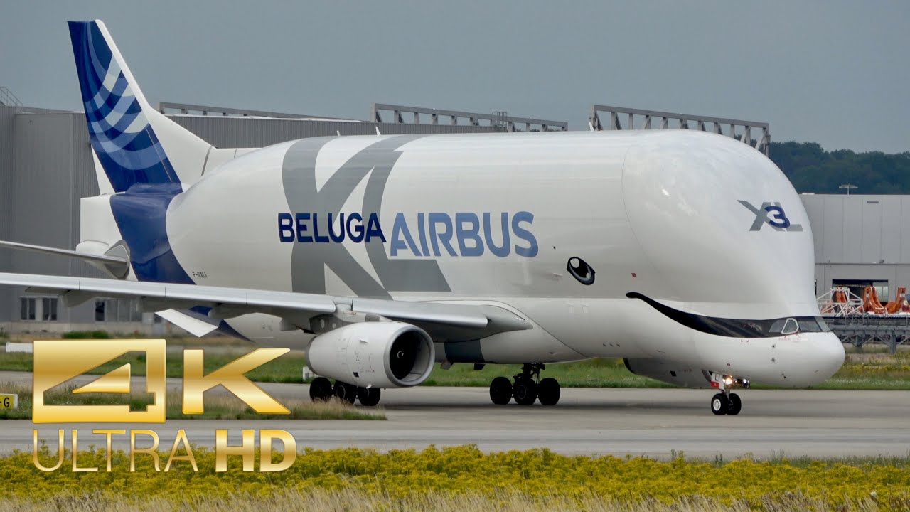 Airbus Beluga Wallpapers