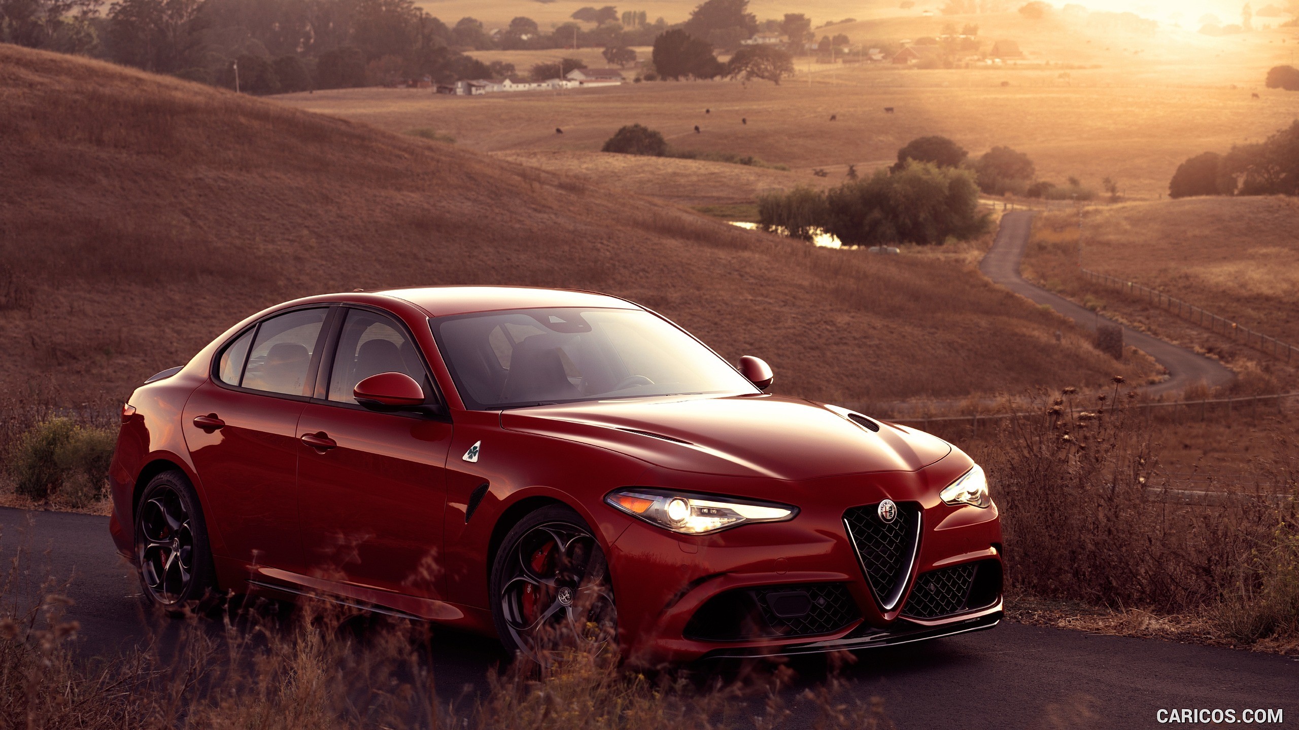 Alfa Romeo Wallpapers