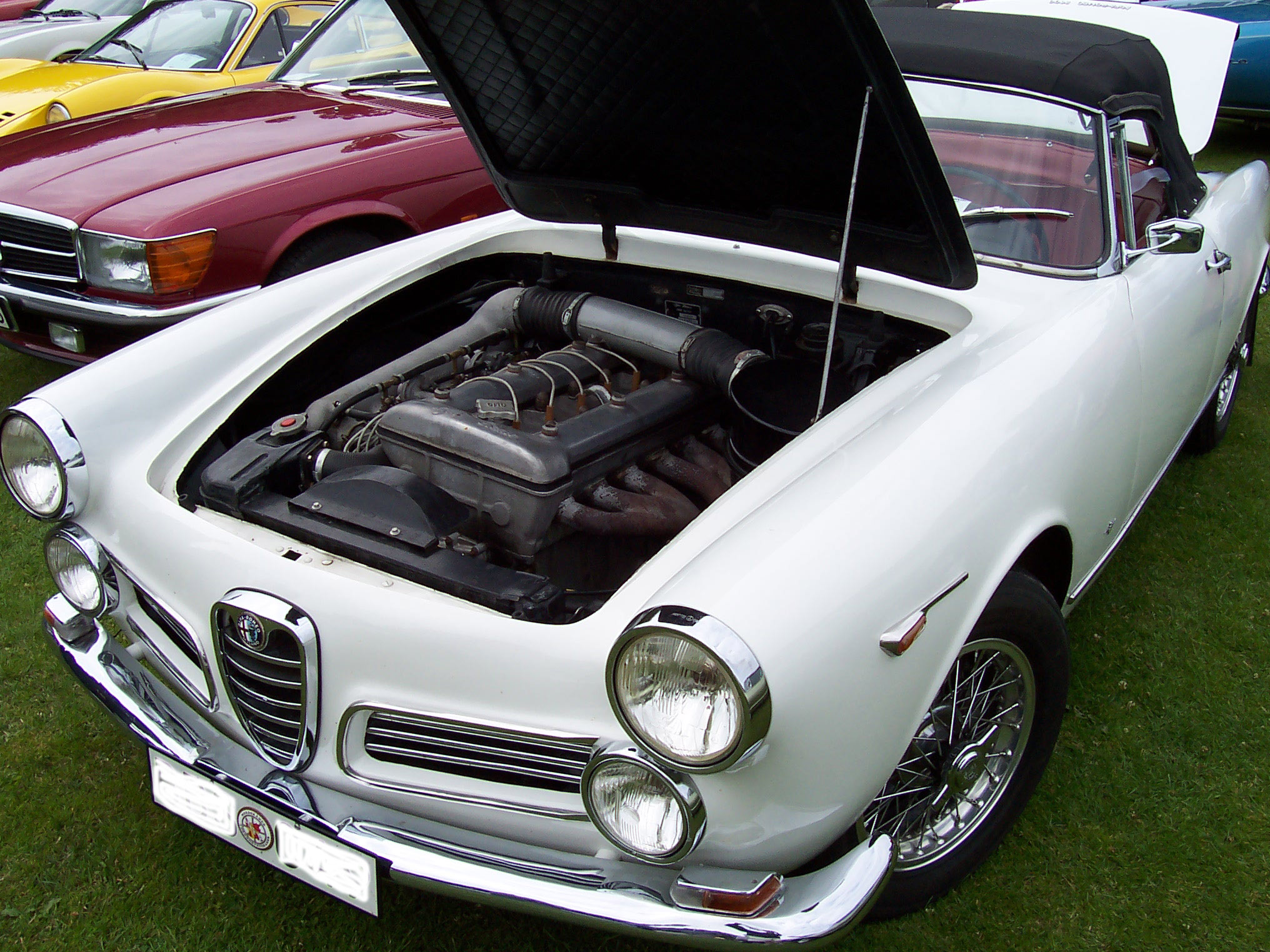 Alfa Romeo 2600 Wallpapers