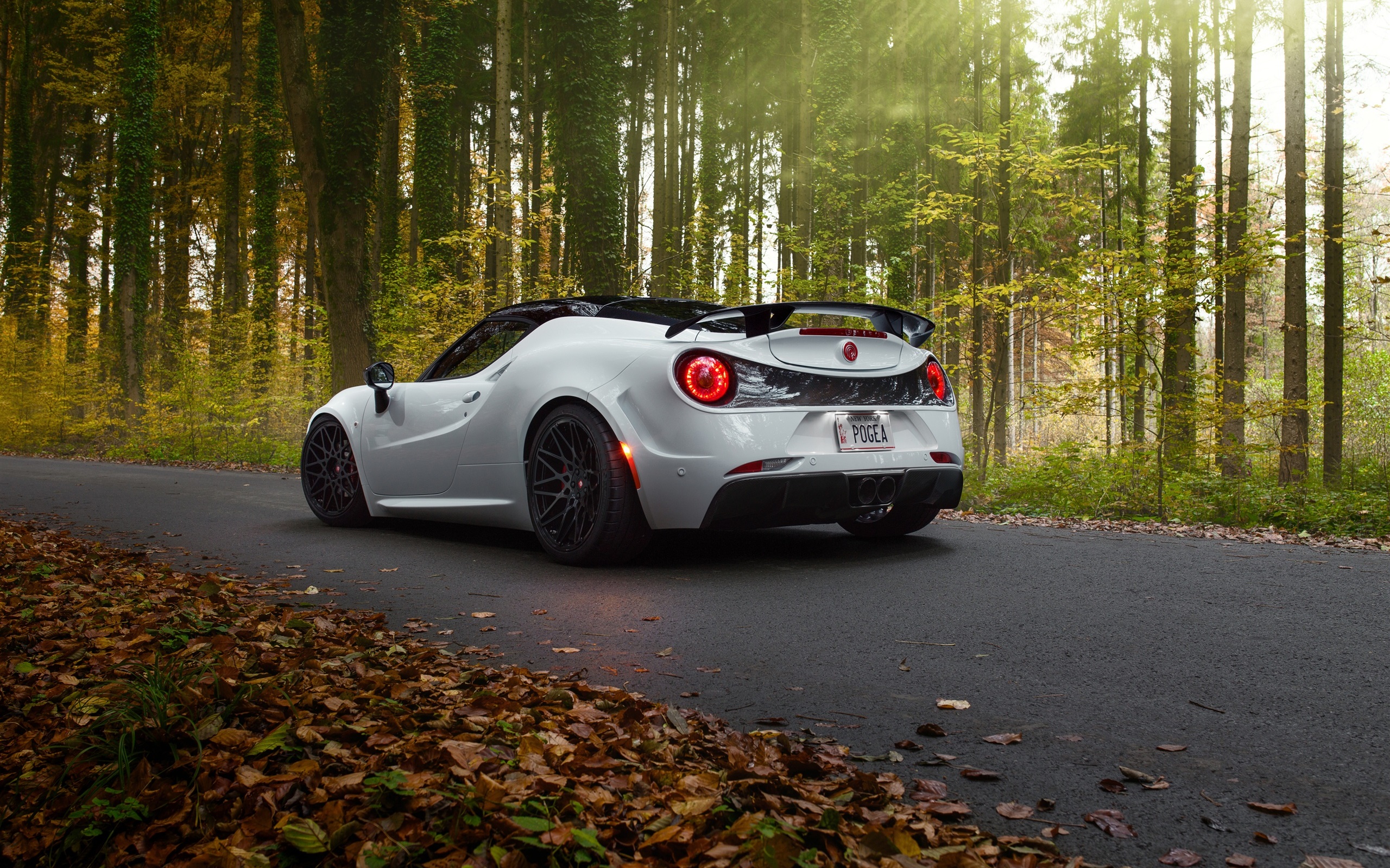 Alfa Romeo 4C Wallpapers