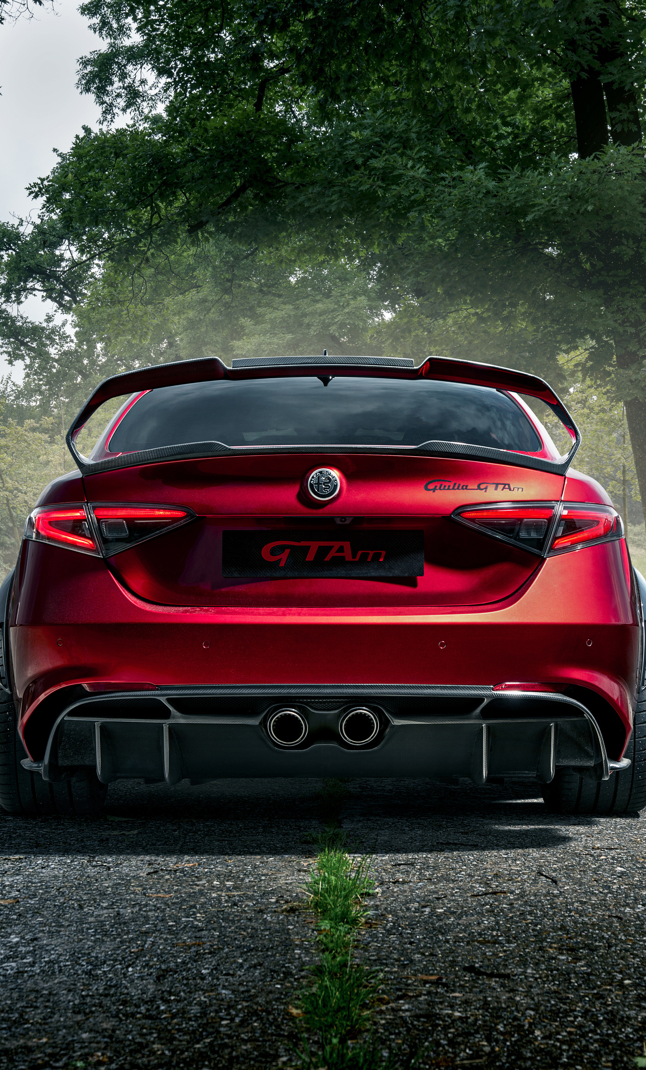 Alfa Romeo Alfa 6 Wallpapers