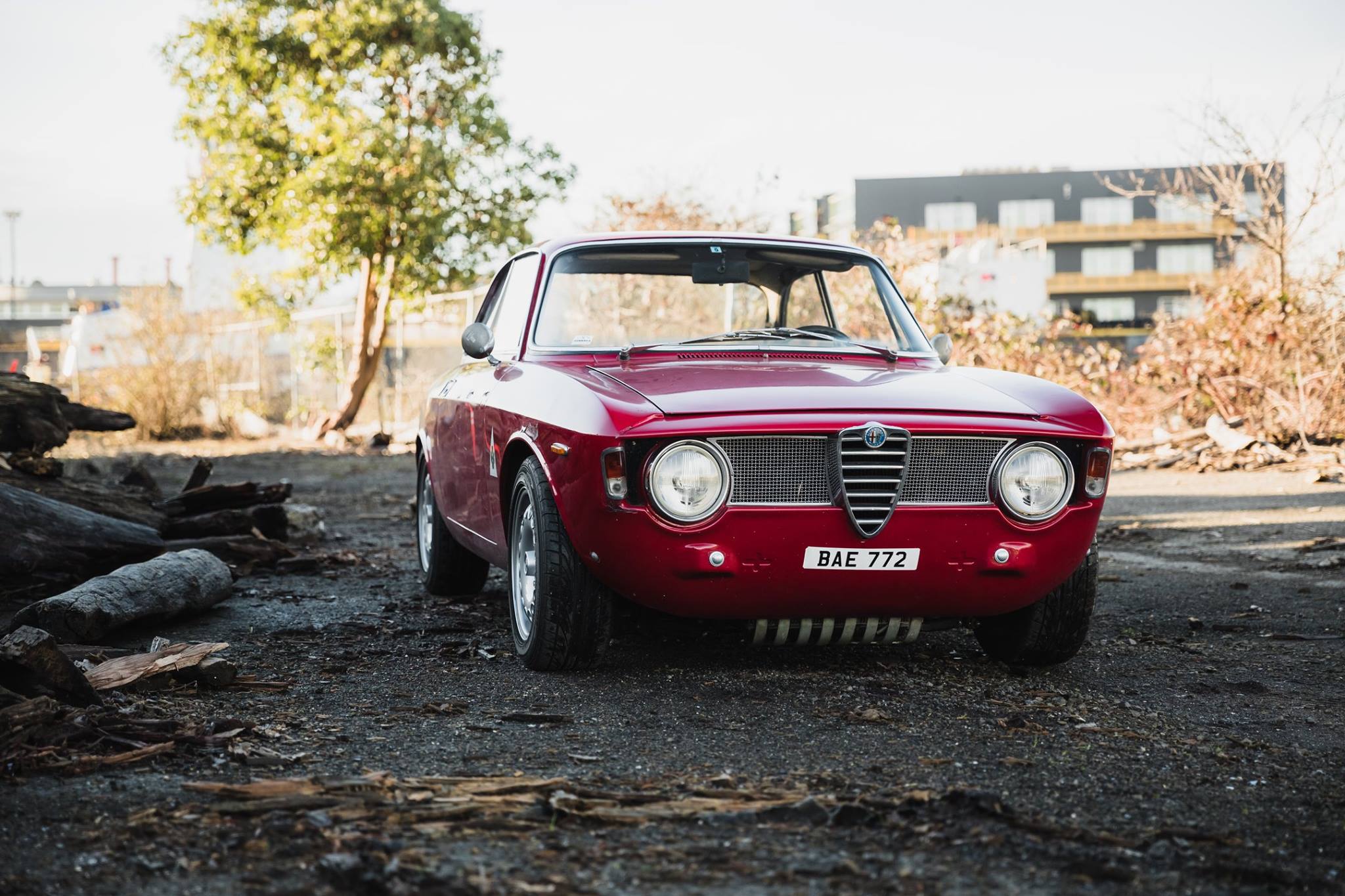 Alfa Romeo Giulia Sprint Gt Wallpapers