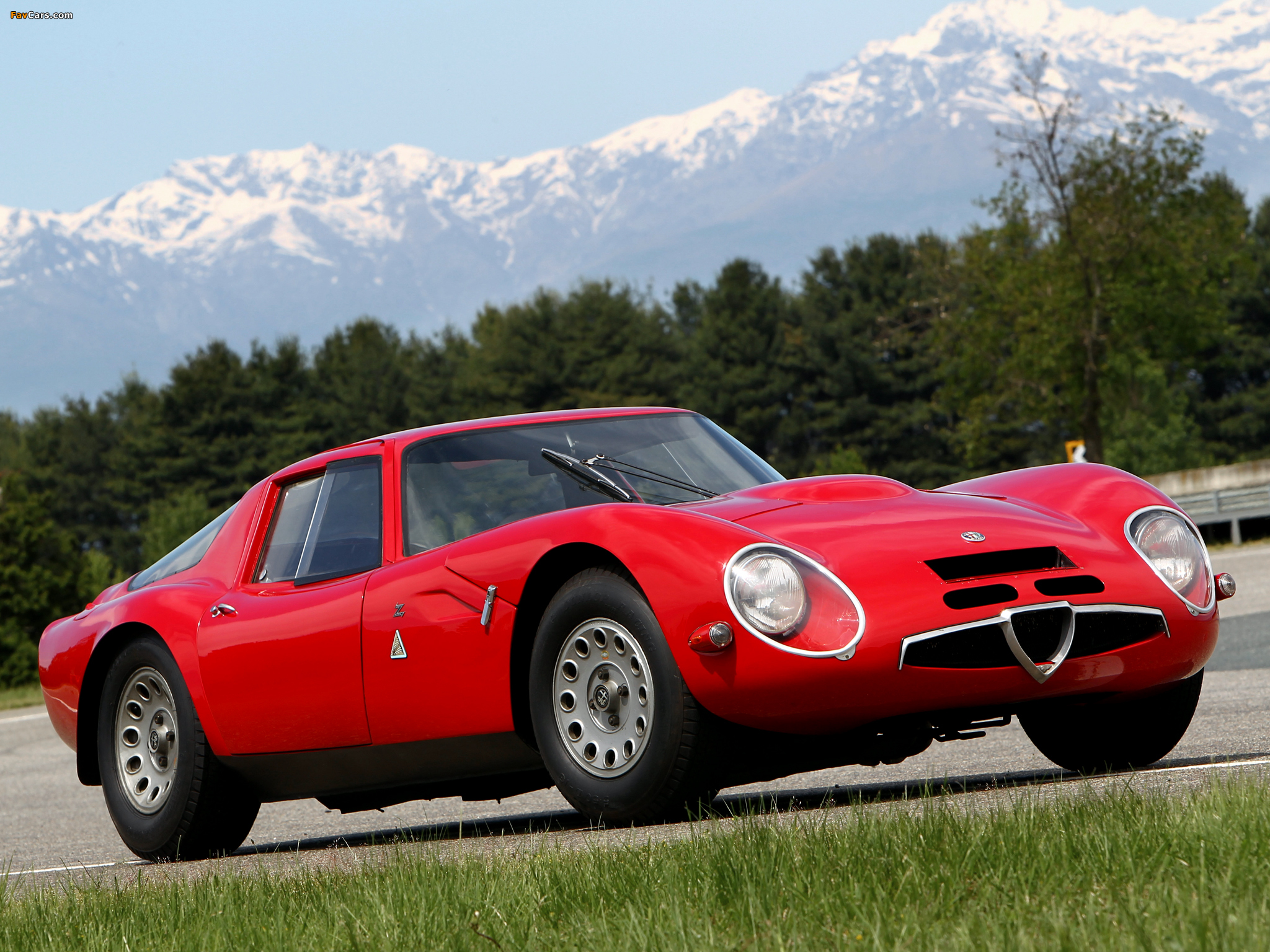 Alfa Romeo Giulia Tz Wallpapers