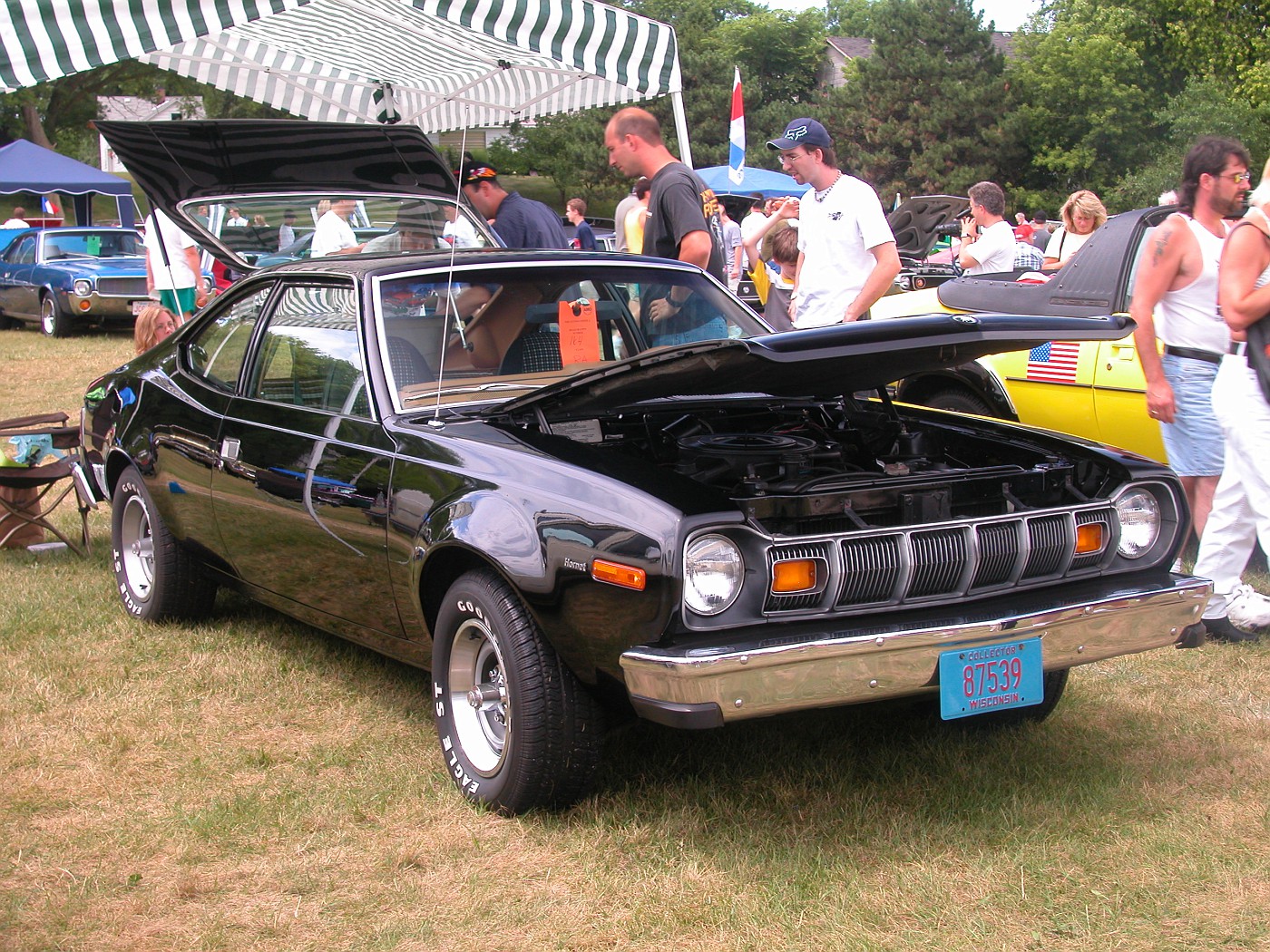 Amc Hornet Wallpapers