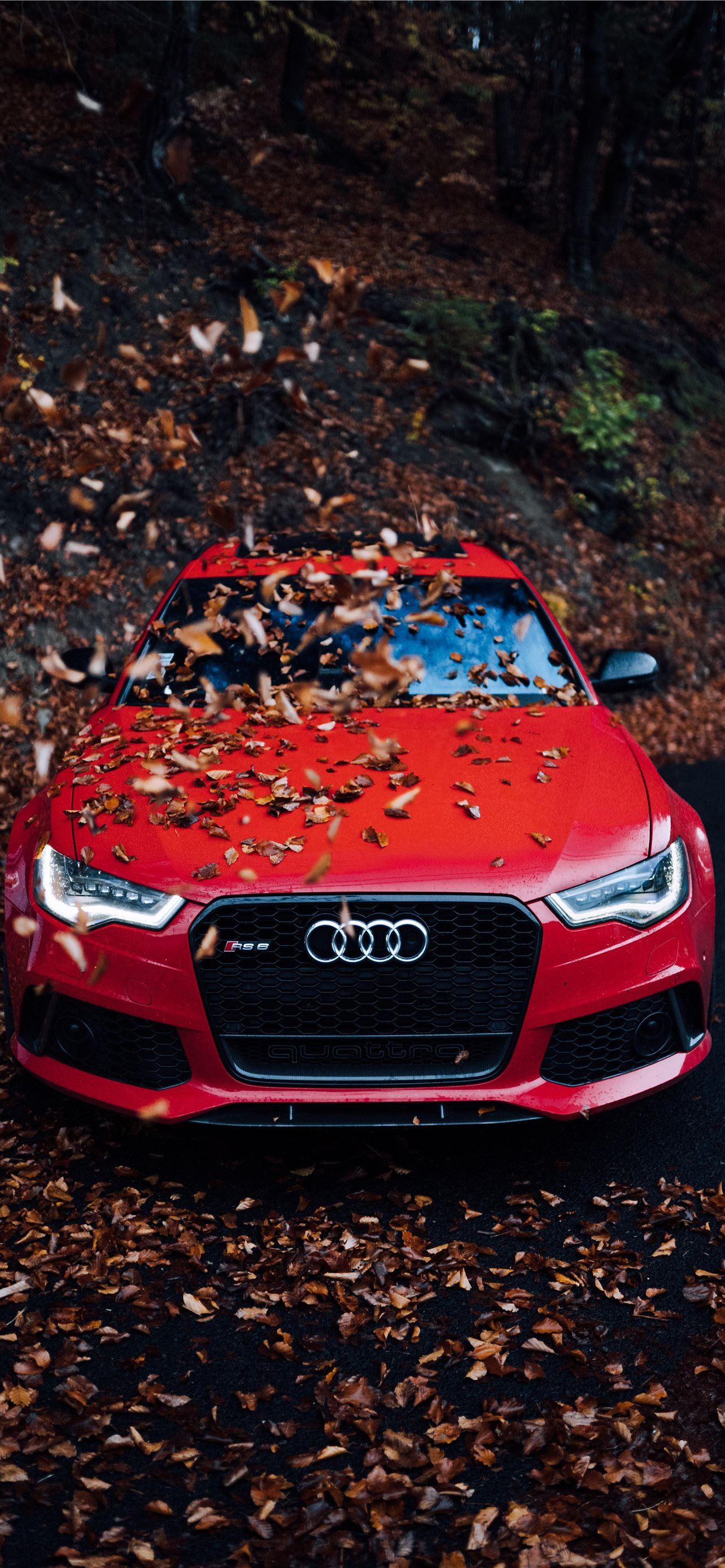 Audi 4K Wallpapers