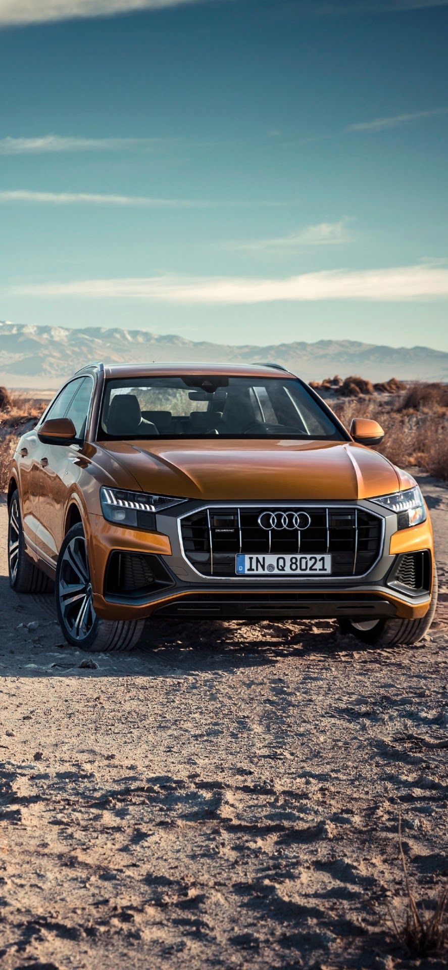 Audi Q8 Wallpapers