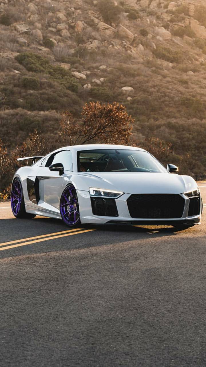 Audi R8 V10 Rws 2017 Wallpapers