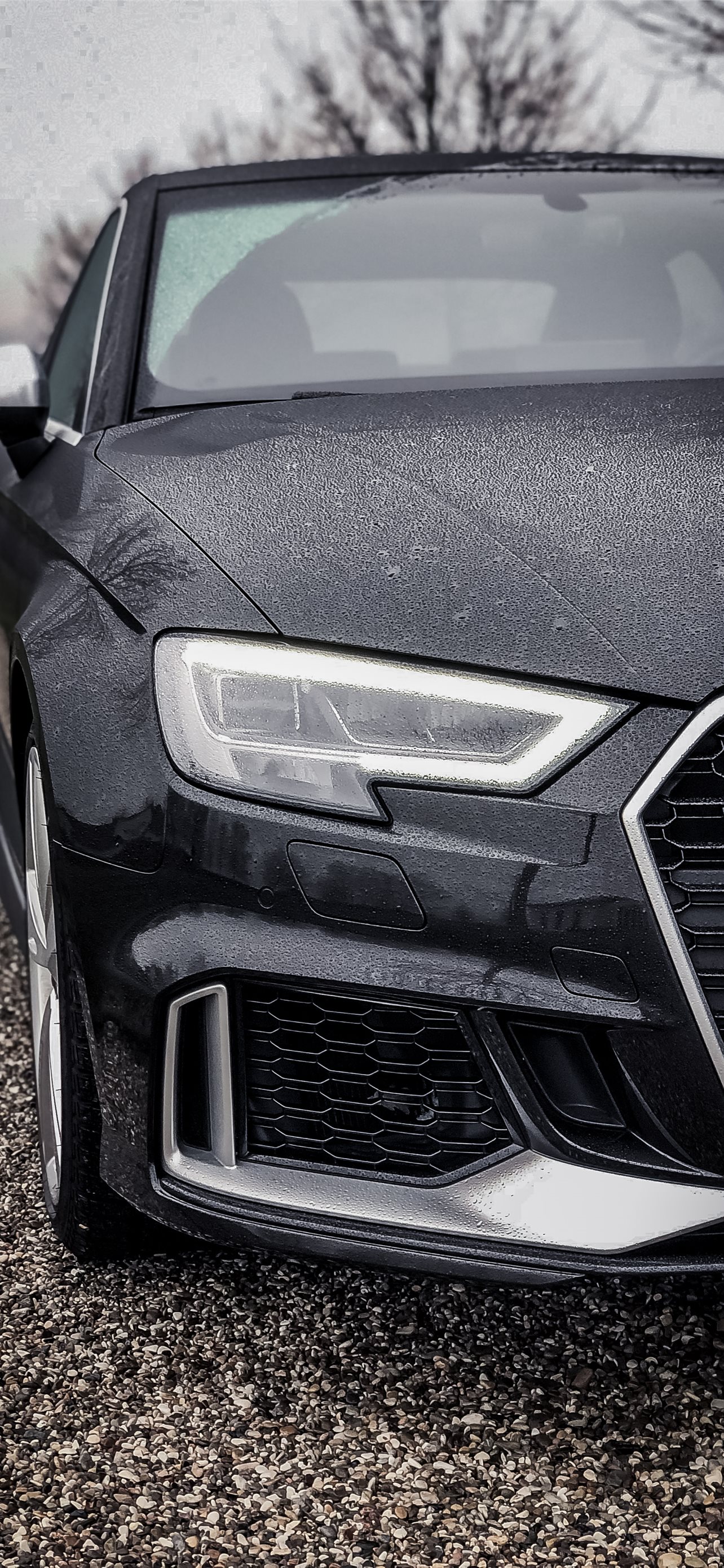 Audi Steppenwolf Wallpapers