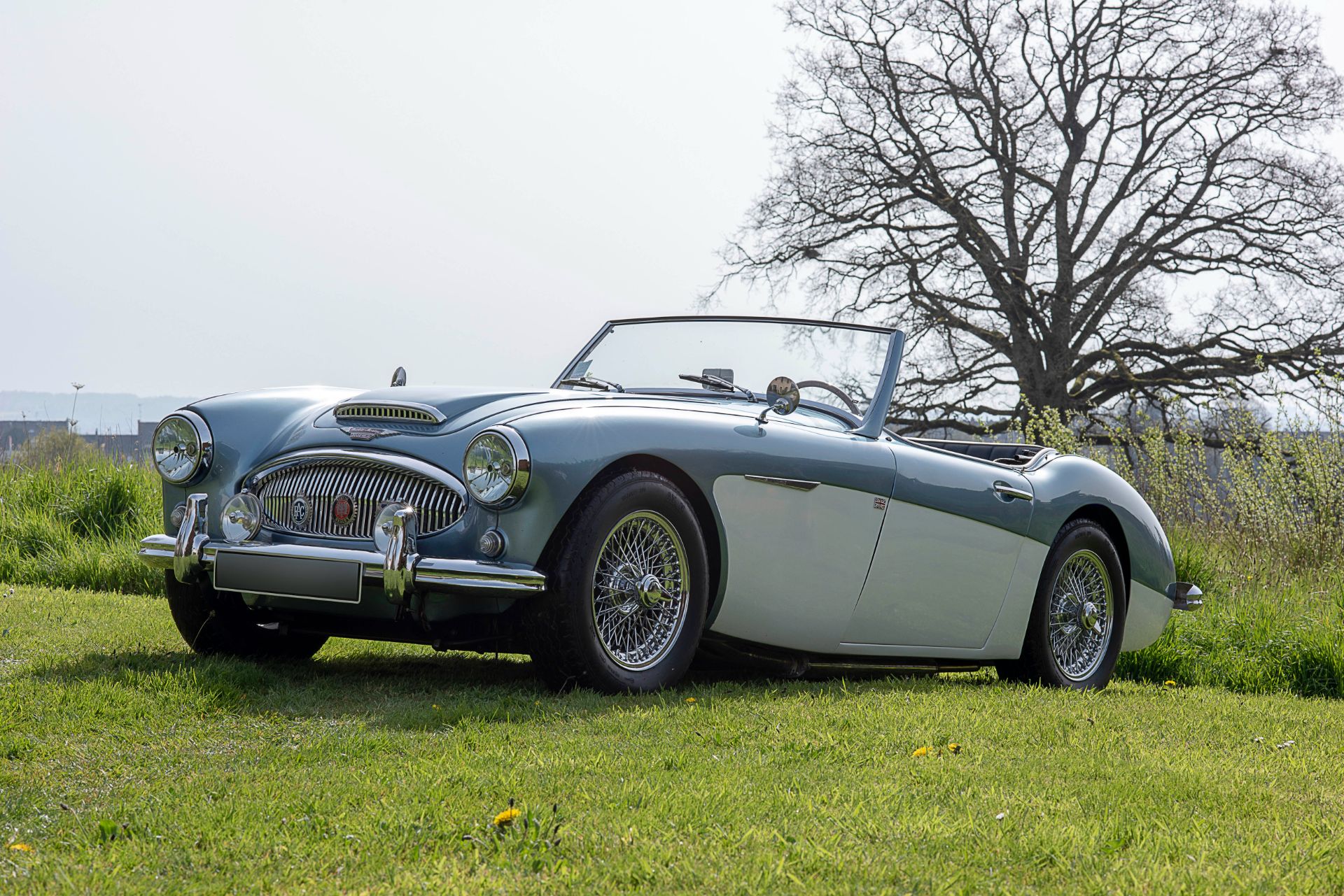 Austin Healey 100 Wallpapers