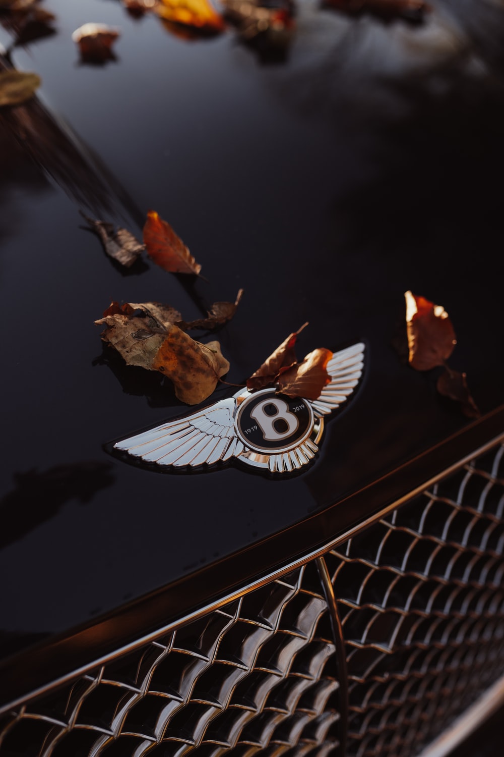 Bentley Logo Wallpapers