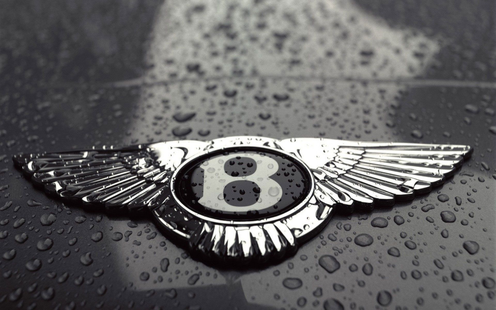 Bentley Logo Wallpapers