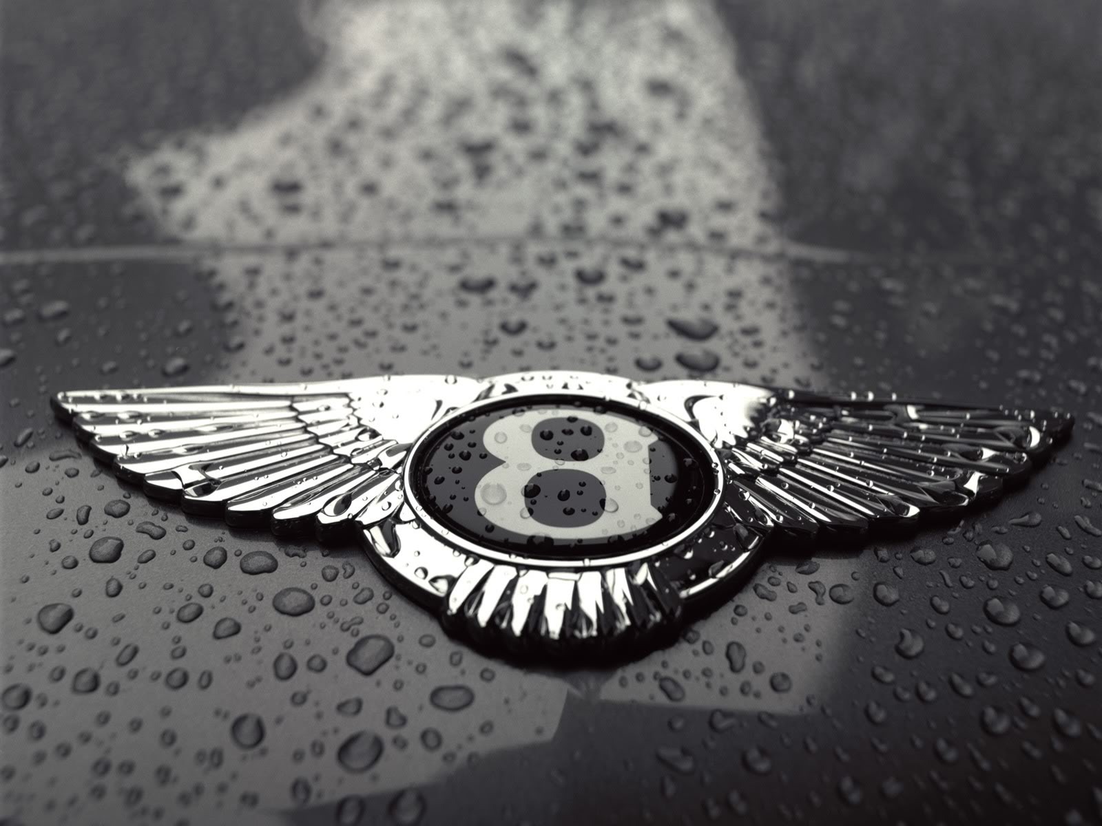 Bentley Logo Wallpapers