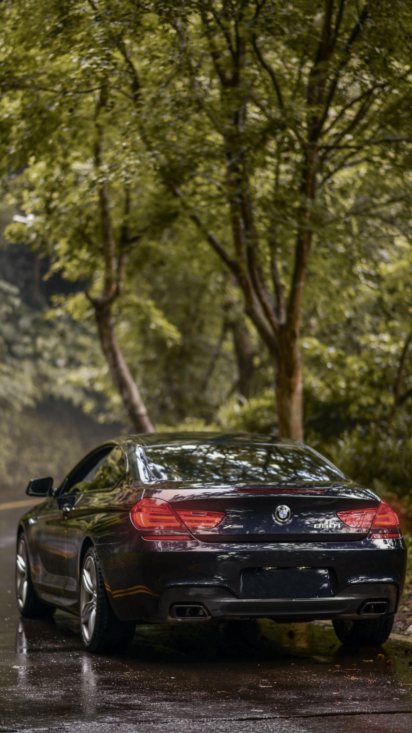 Bmw 650I Wallpapers