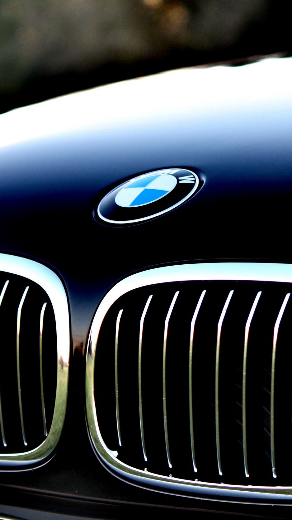 Bmw Logo Wallpapers