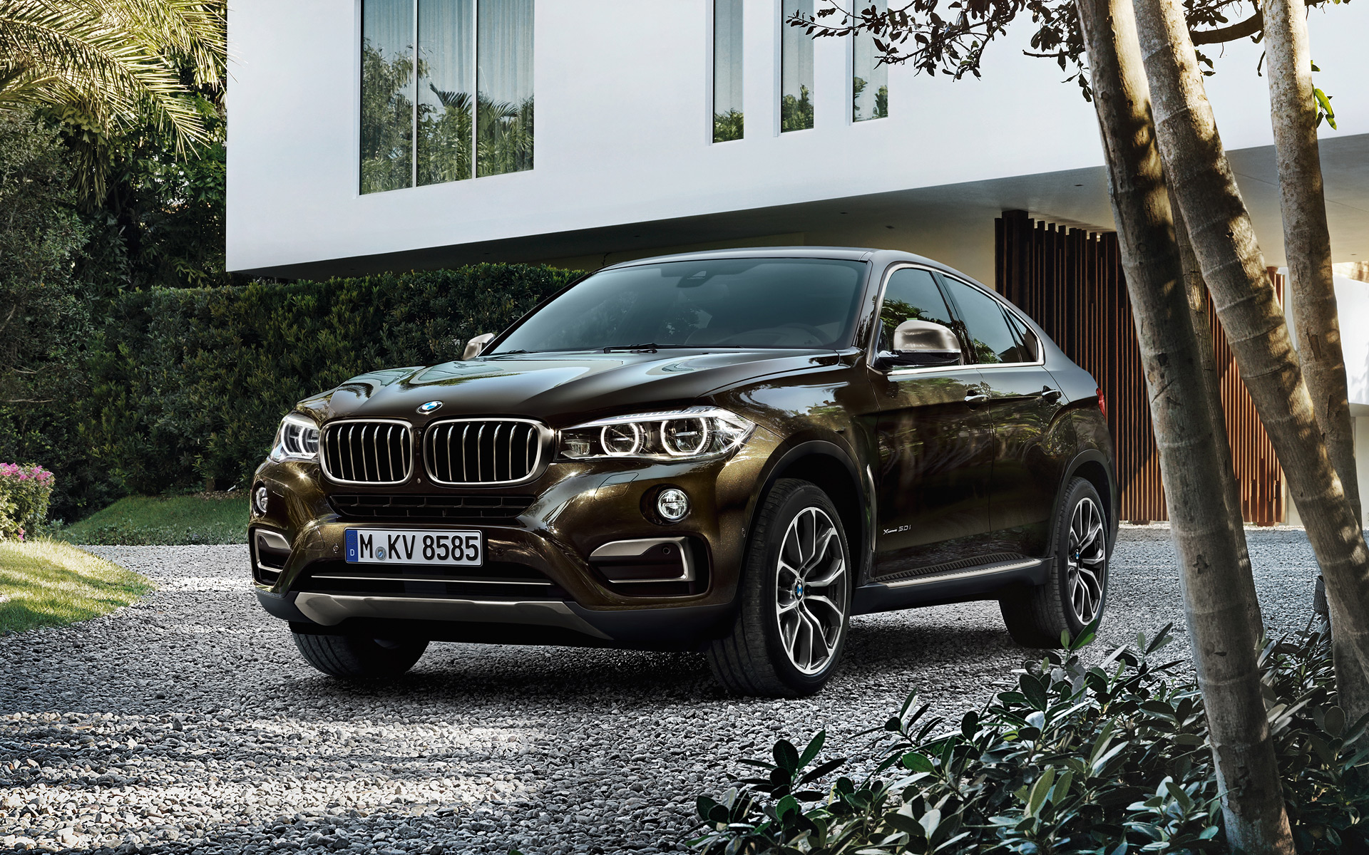 Bmw X6 Wallpapers