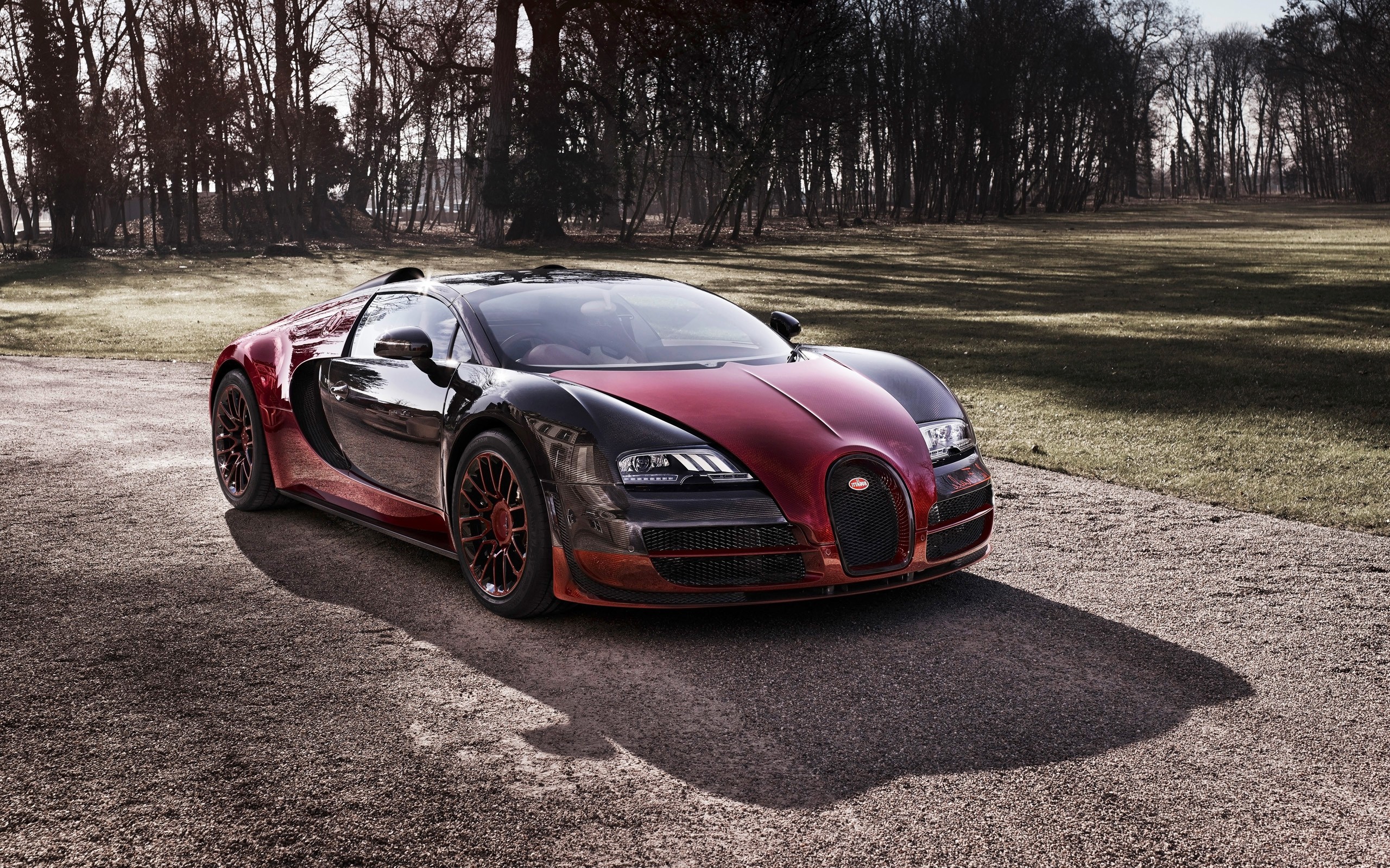 Bugatti Veyron Grand Sport Vitesse La Finale Wallpapers