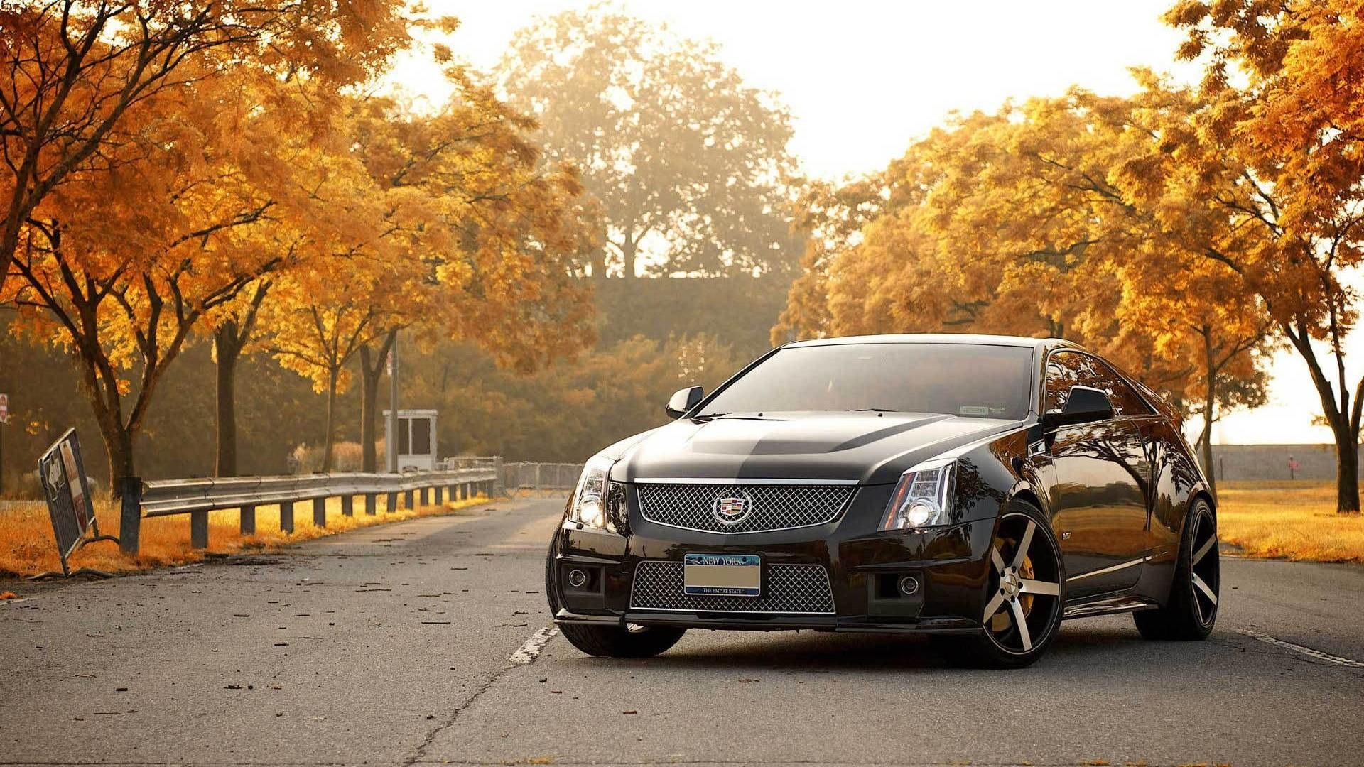 Cadillac Ct5 Wallpapers