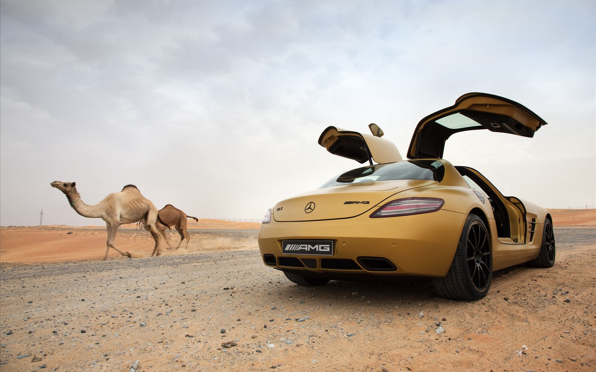 Car In Desert Wallpapers