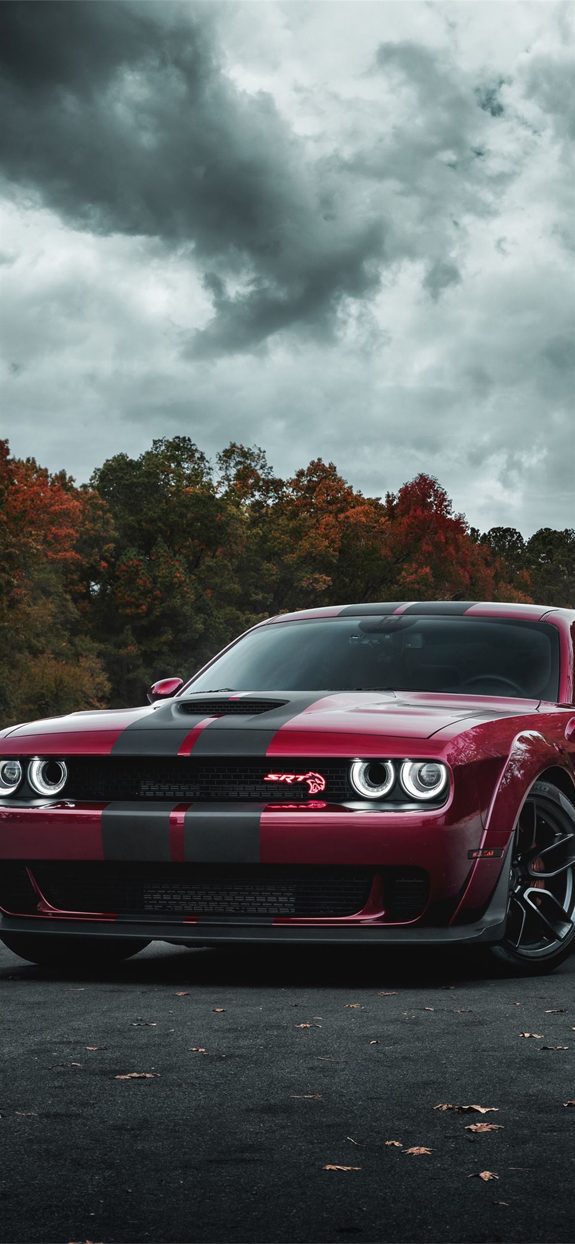 Dodge Wallpapers