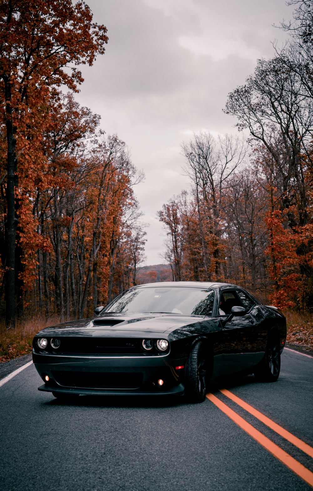 Dodge Cars Wallpapers