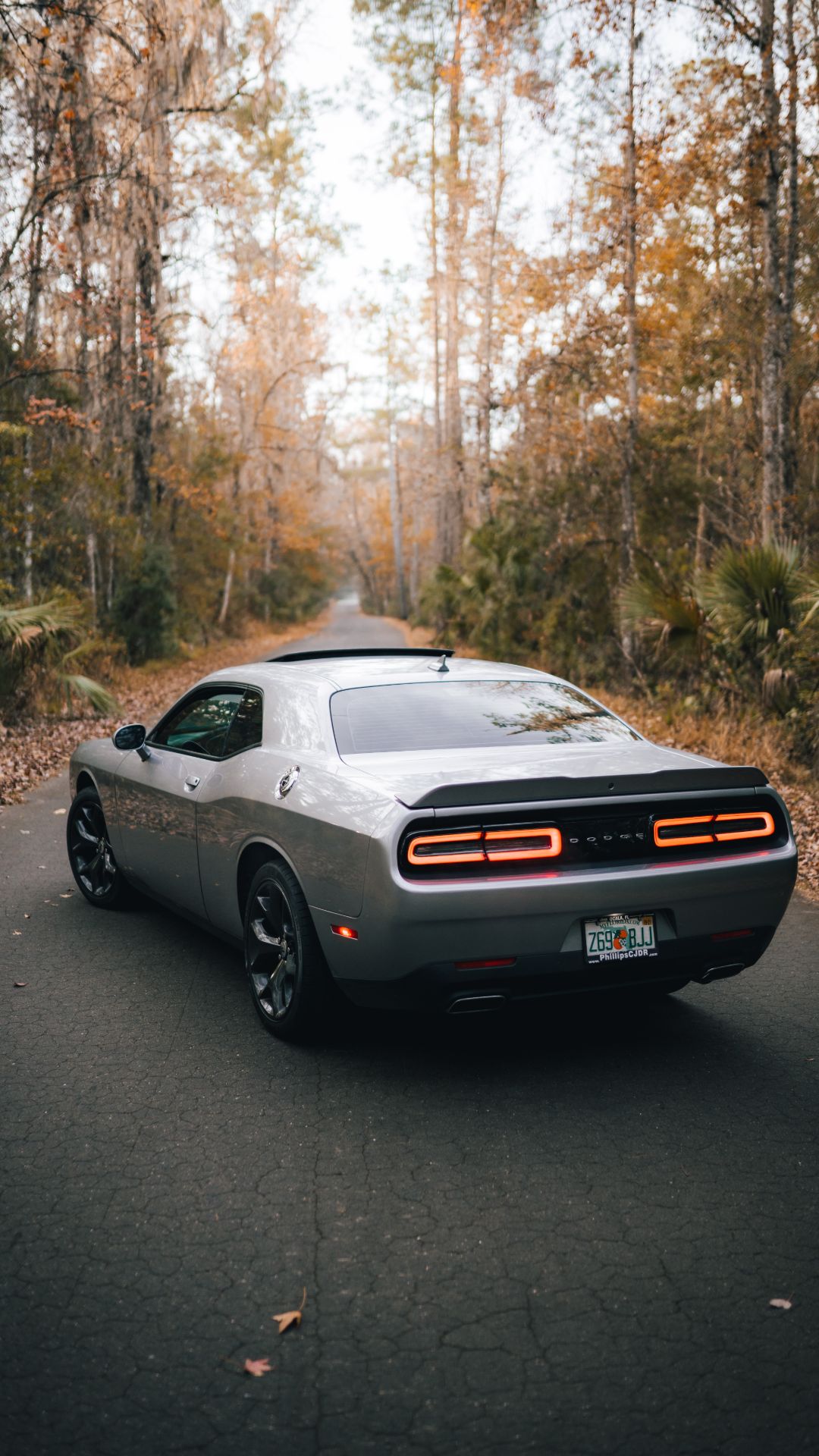 Dodge Challenger Wallpapers