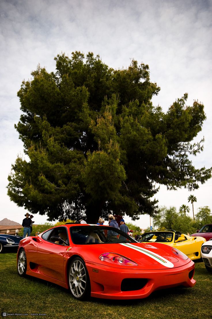 Ferrari 360 Challenge Stradale Wallpapers