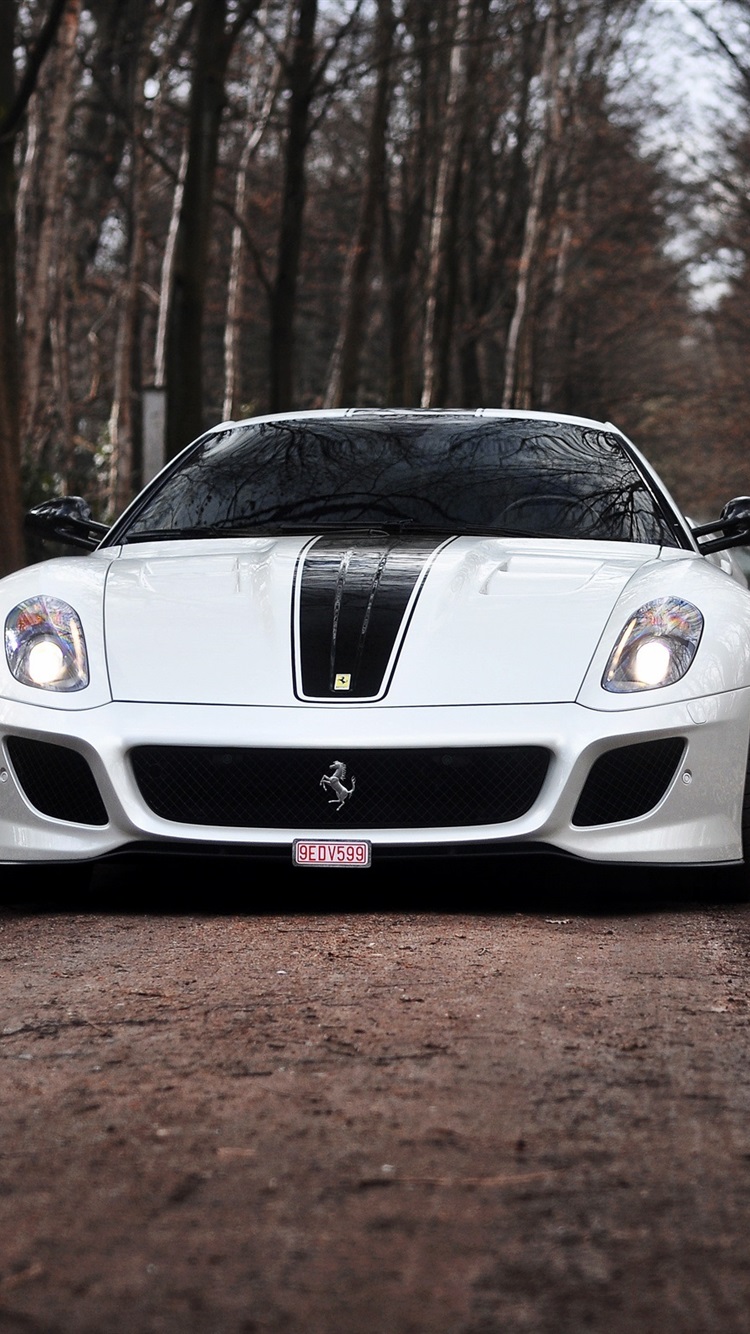 Ferrari 599 Gto Wallpapers