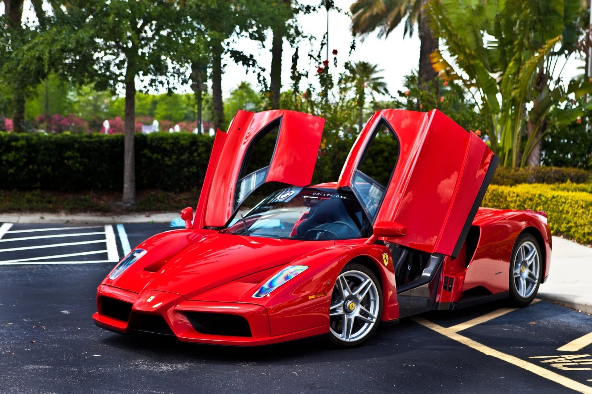 Ferrari Enzo Wallpapers