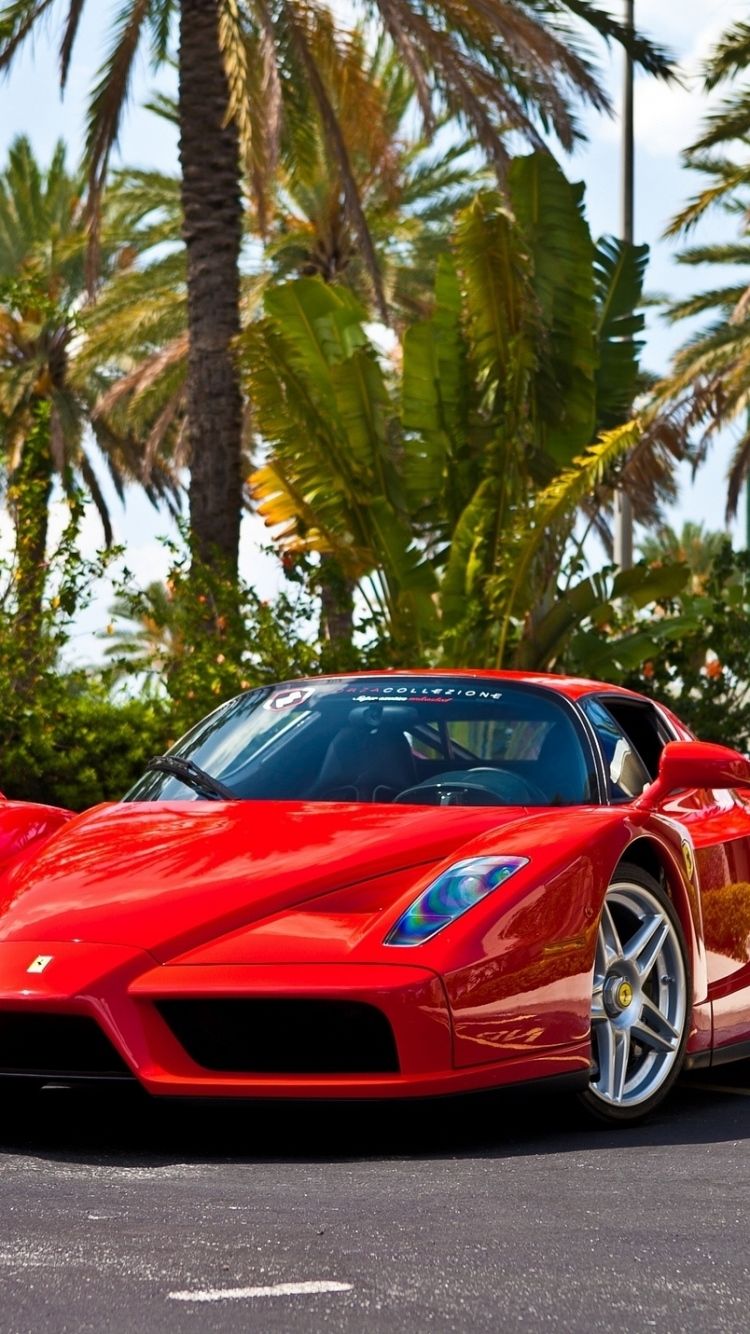 Ferrari Enzo Wallpapers