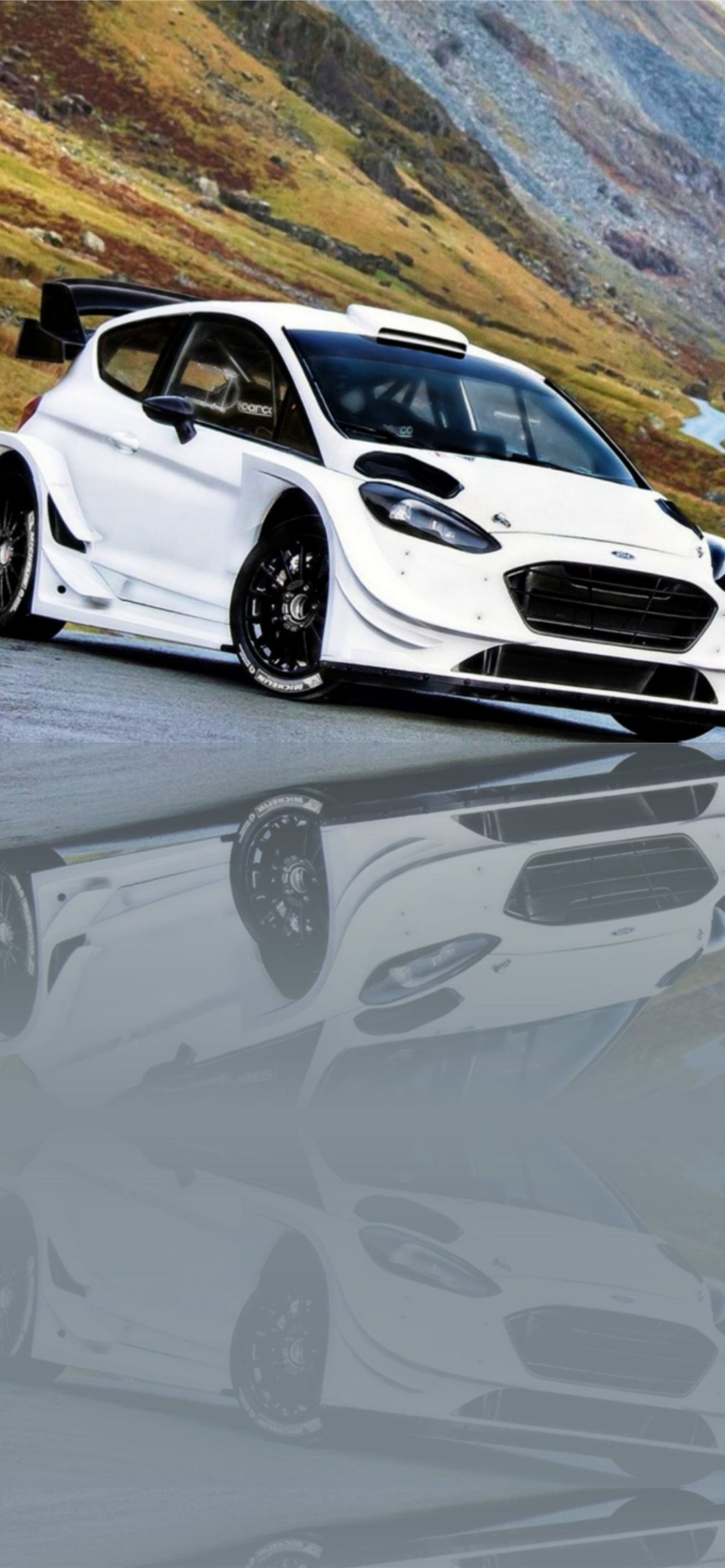 Ford Fiesta St Wallpapers