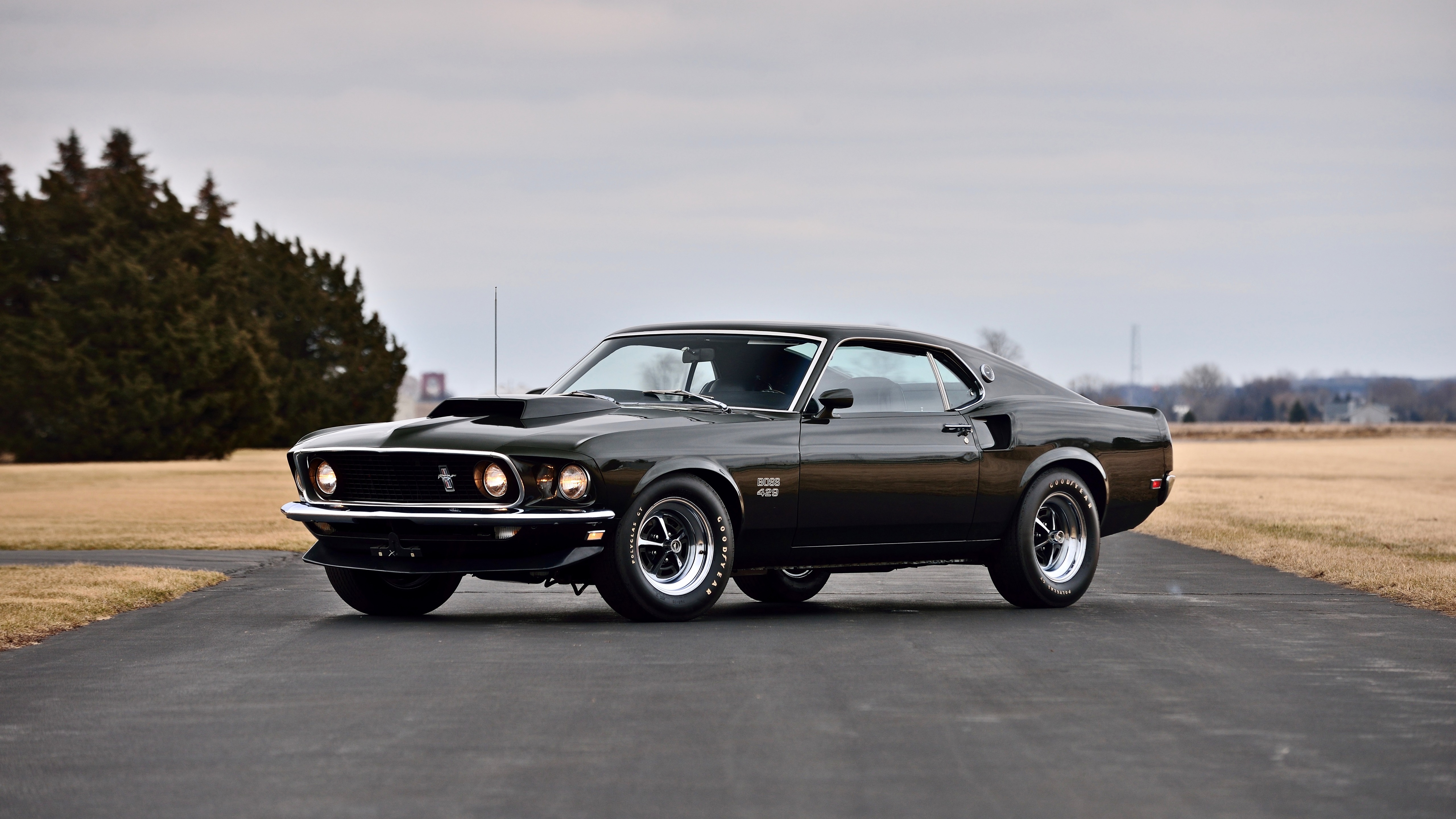 Ford Mustang Boss 429 Wallpapers