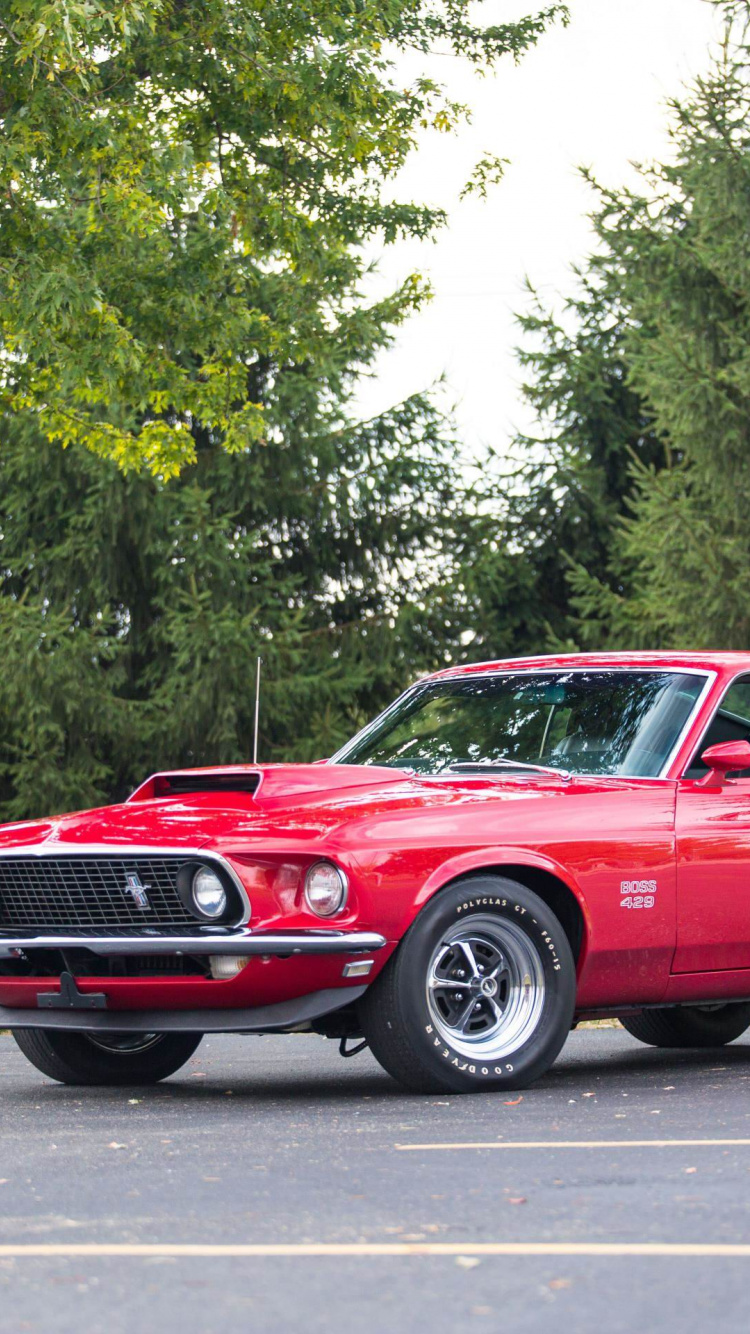 Ford Mustang Boss 429 Wallpapers