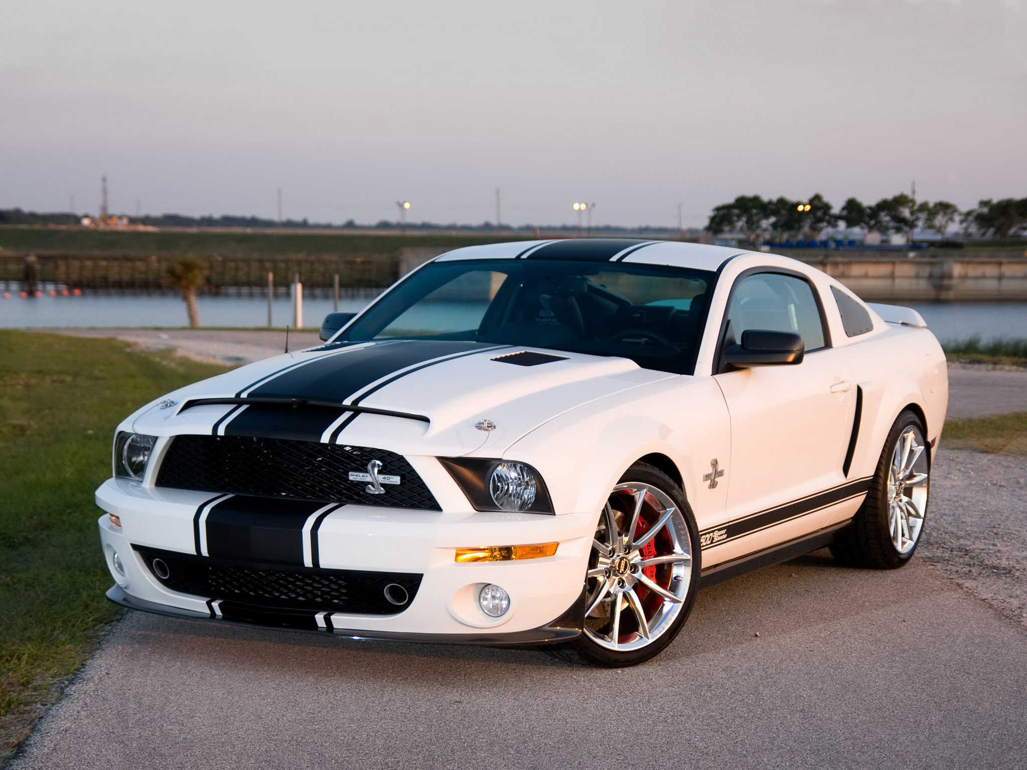 Ford Mustang Boss Snake Wallpapers