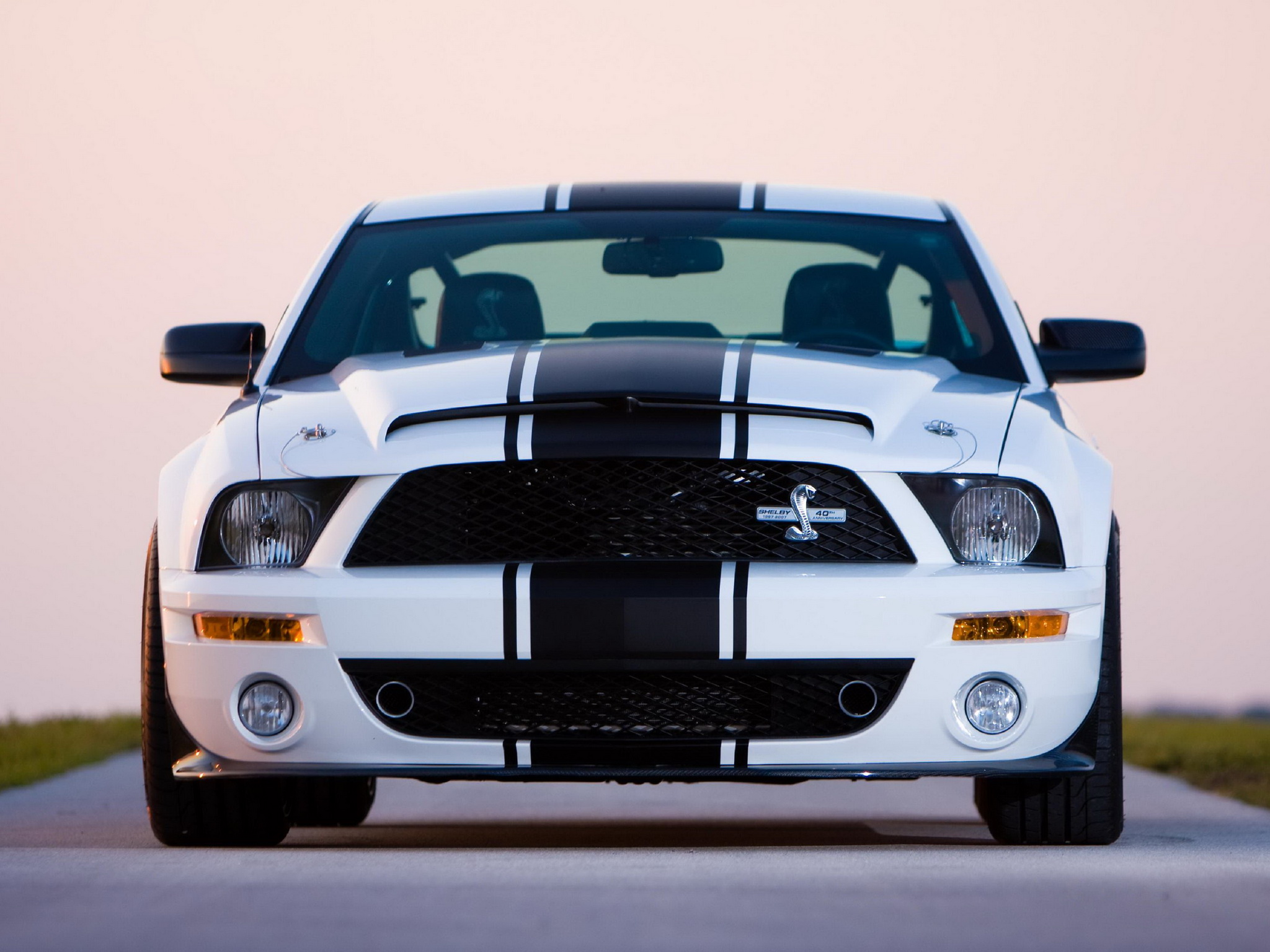 Ford Mustang Boss Snake Wallpapers