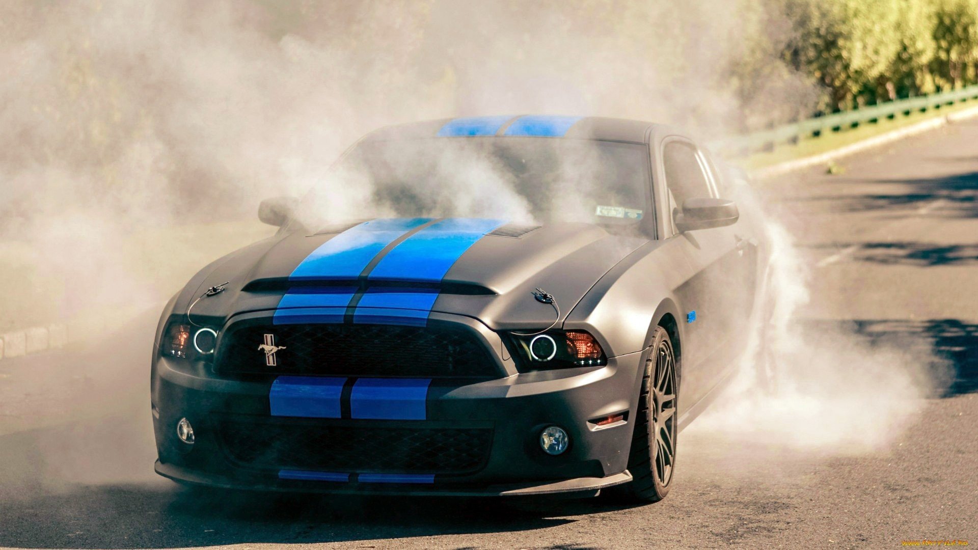 Ford Mustang Boss Snake Wallpapers