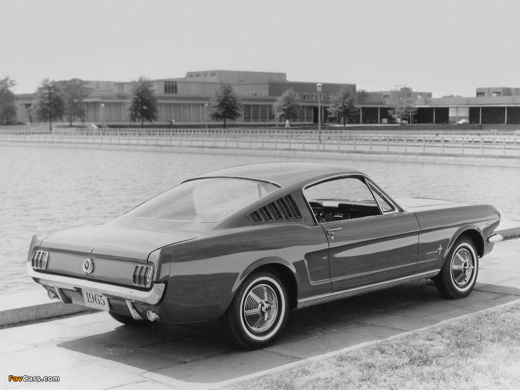 Ford Mustang Fastback Wallpapers