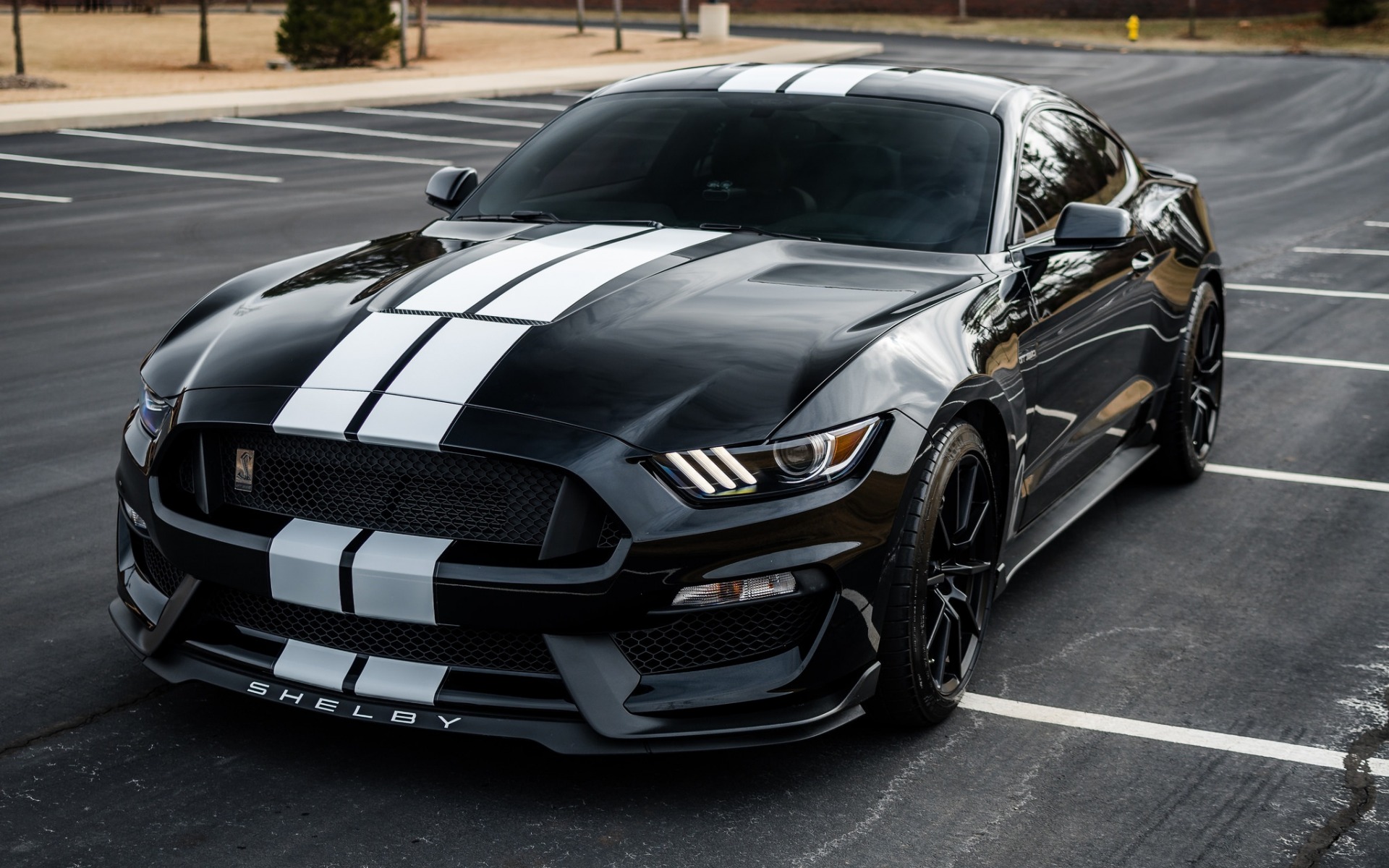 Ford Mustang Gt350 Wallpapers