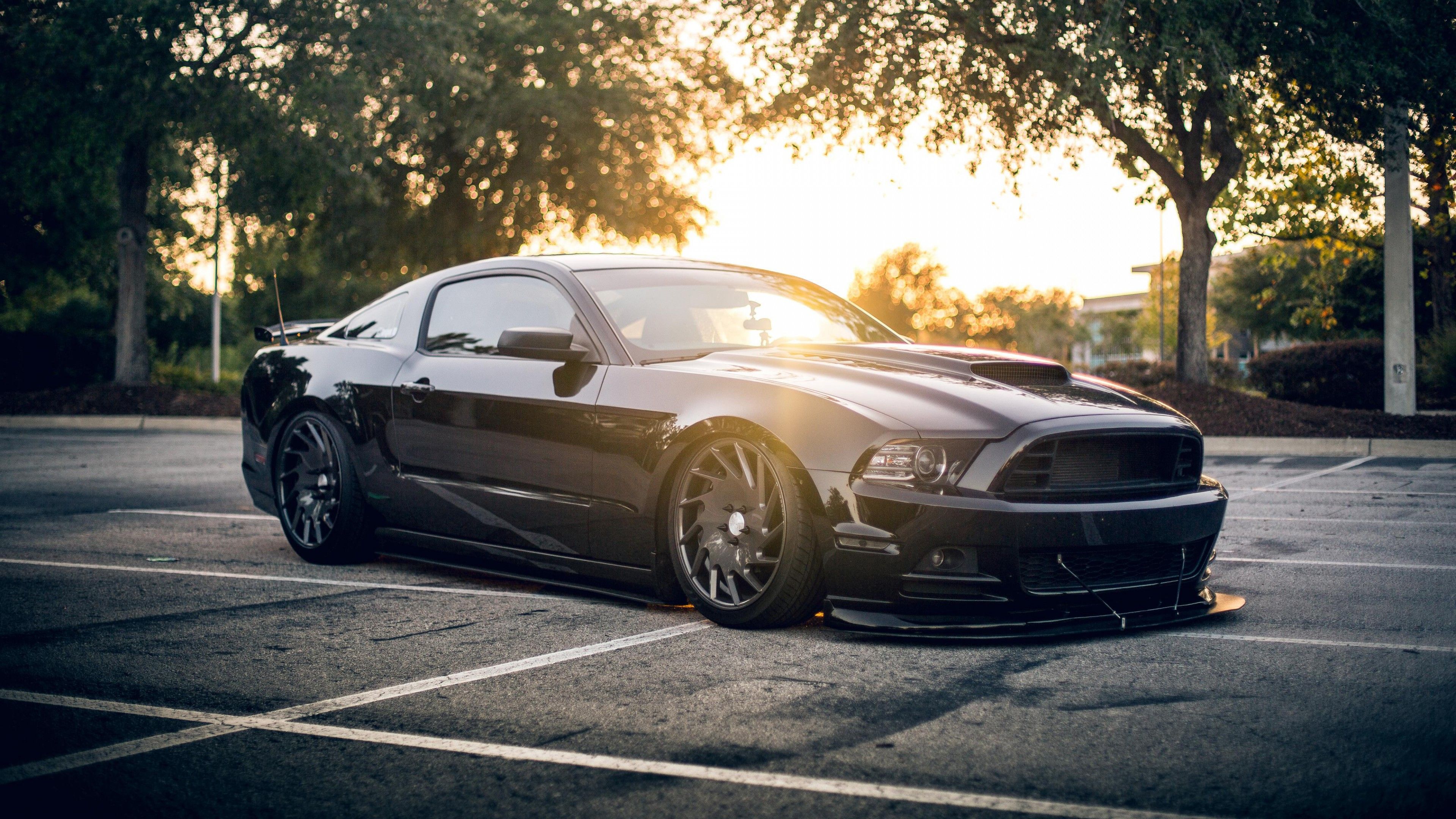 Ford Mustang Gt4 Wallpapers