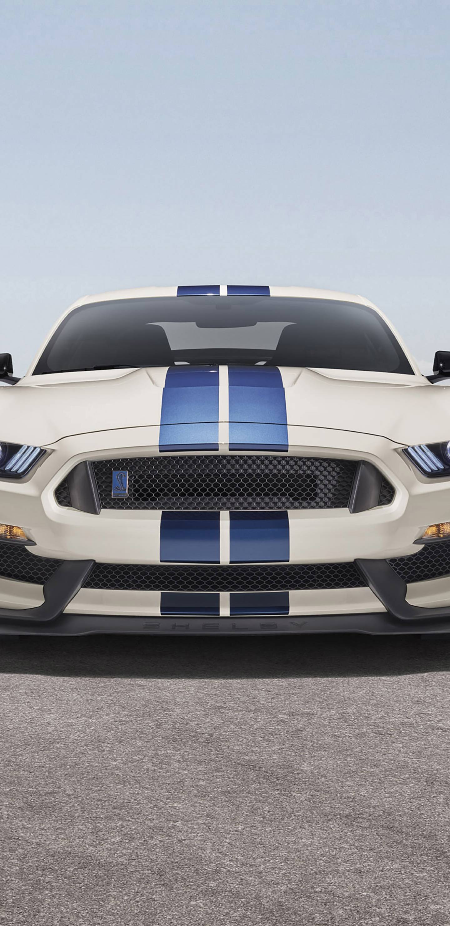 Ford Mustang Scorpion Edition Wallpapers