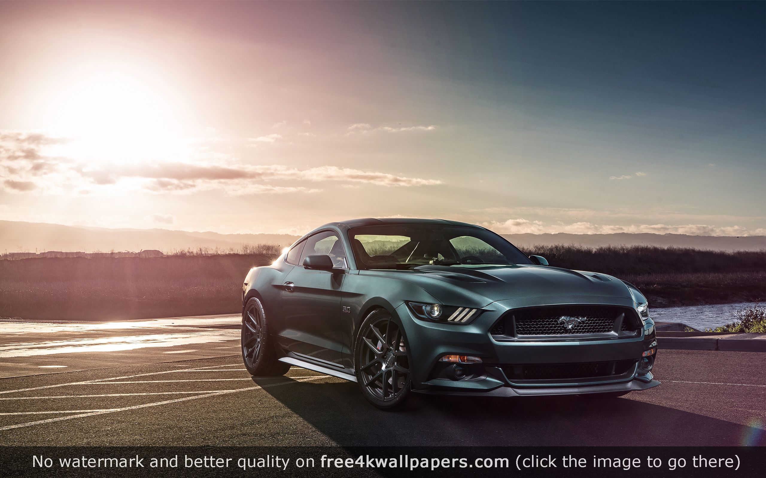 Ford Mustang Scorpion Edition Wallpapers