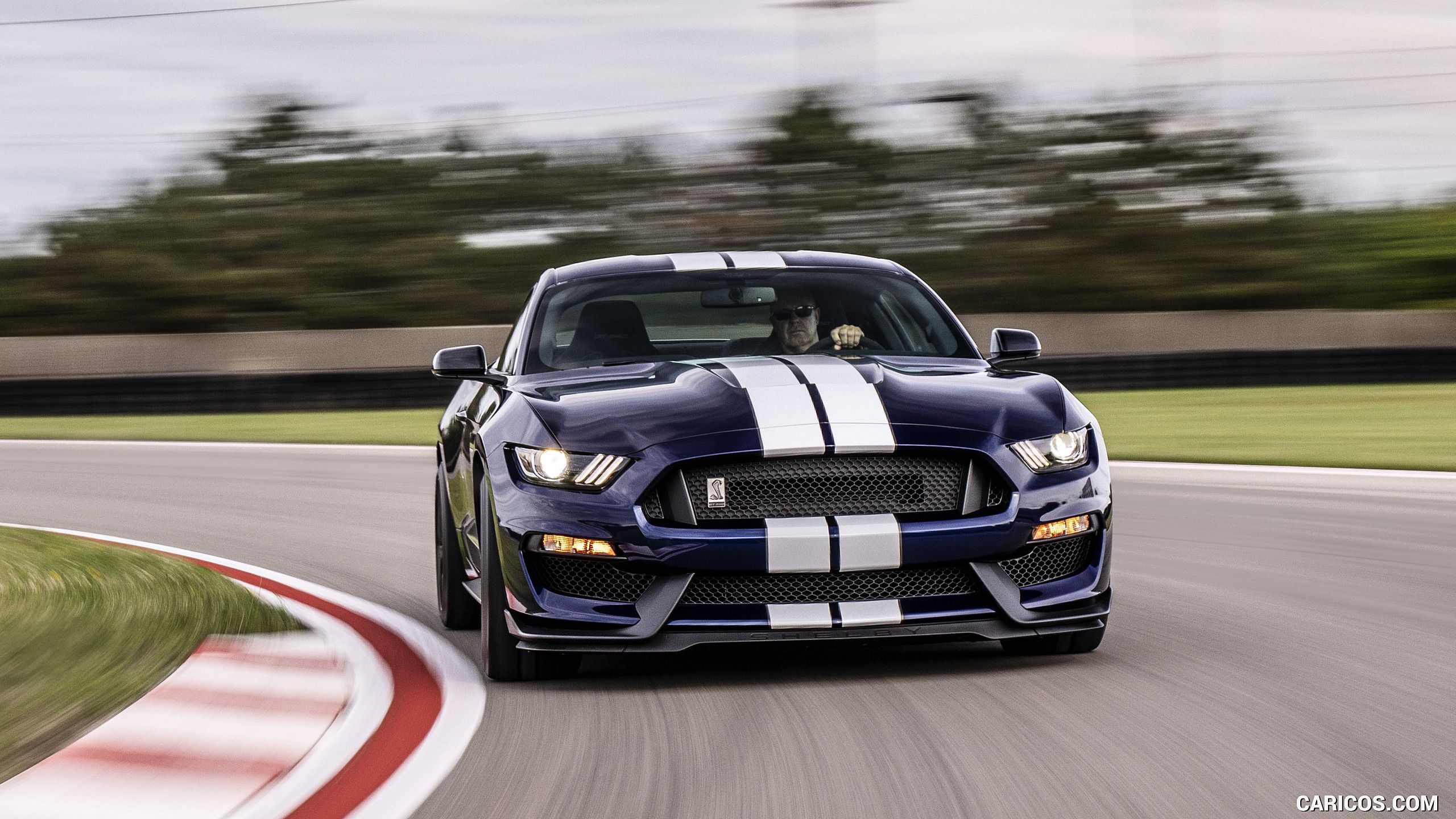 Ford Mustang Shelby Gt350 Wallpapers